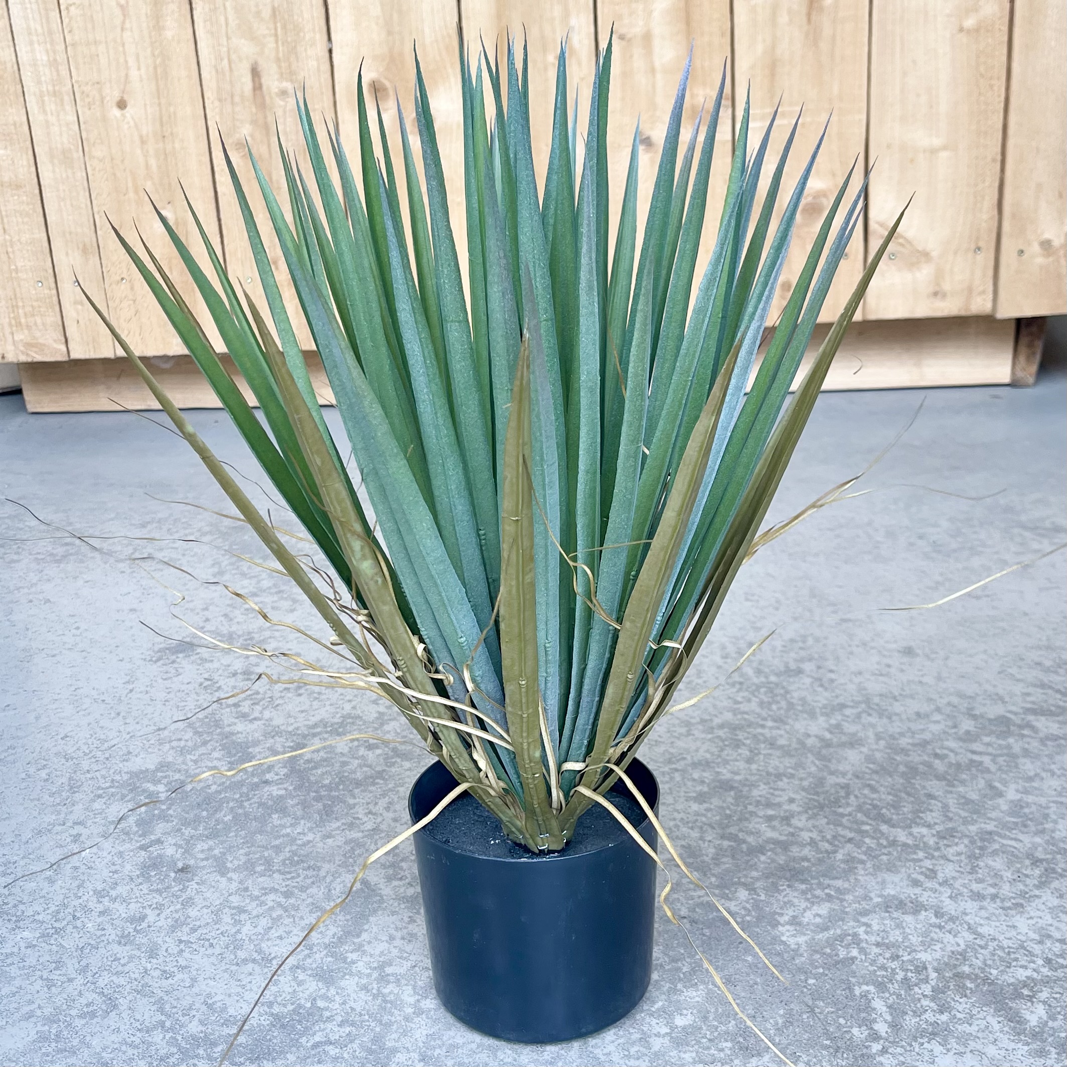 Yucca getopft, H58cm, grün
