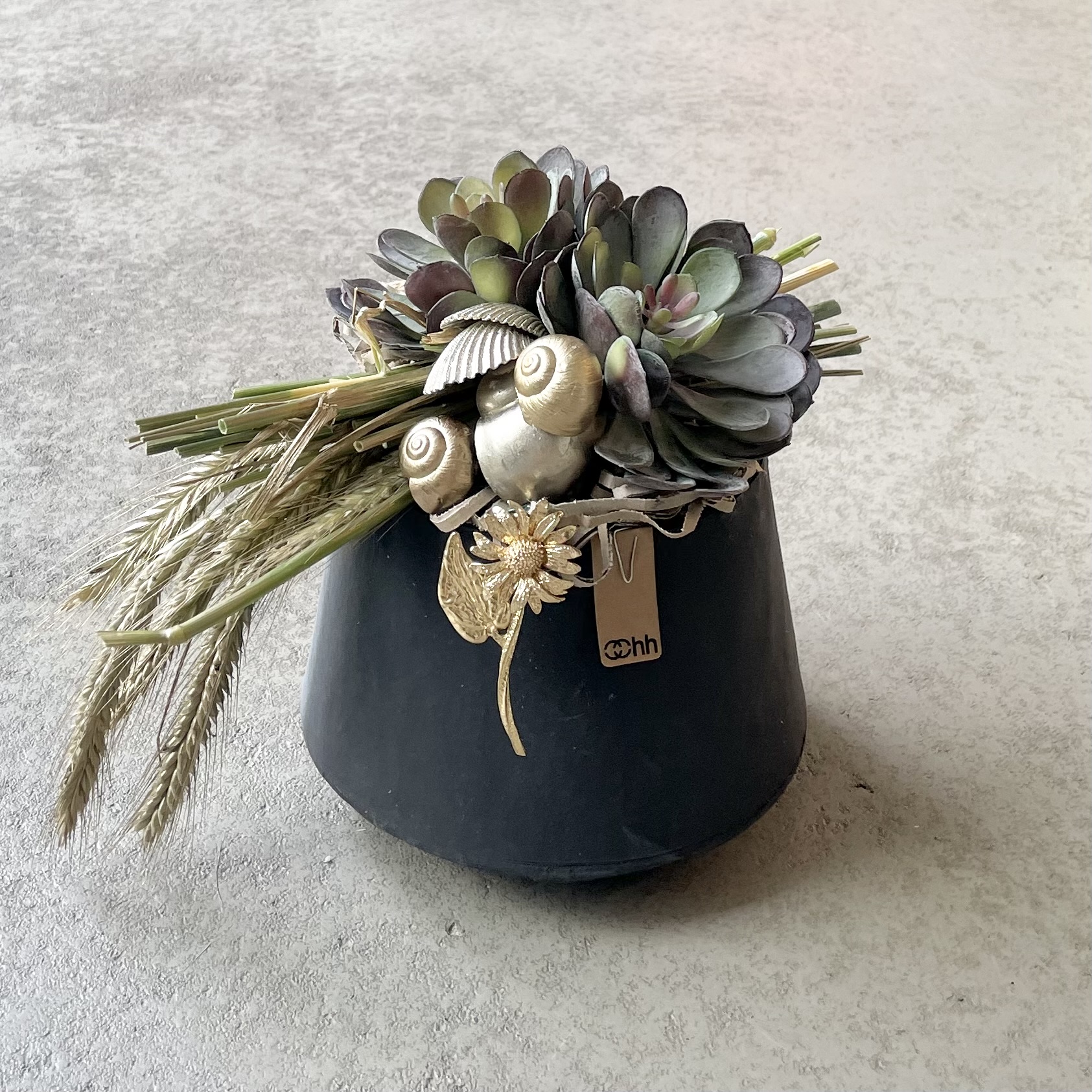 OOhh-Topf mit Sukkulenten D17cm, schwarz/grün/gold