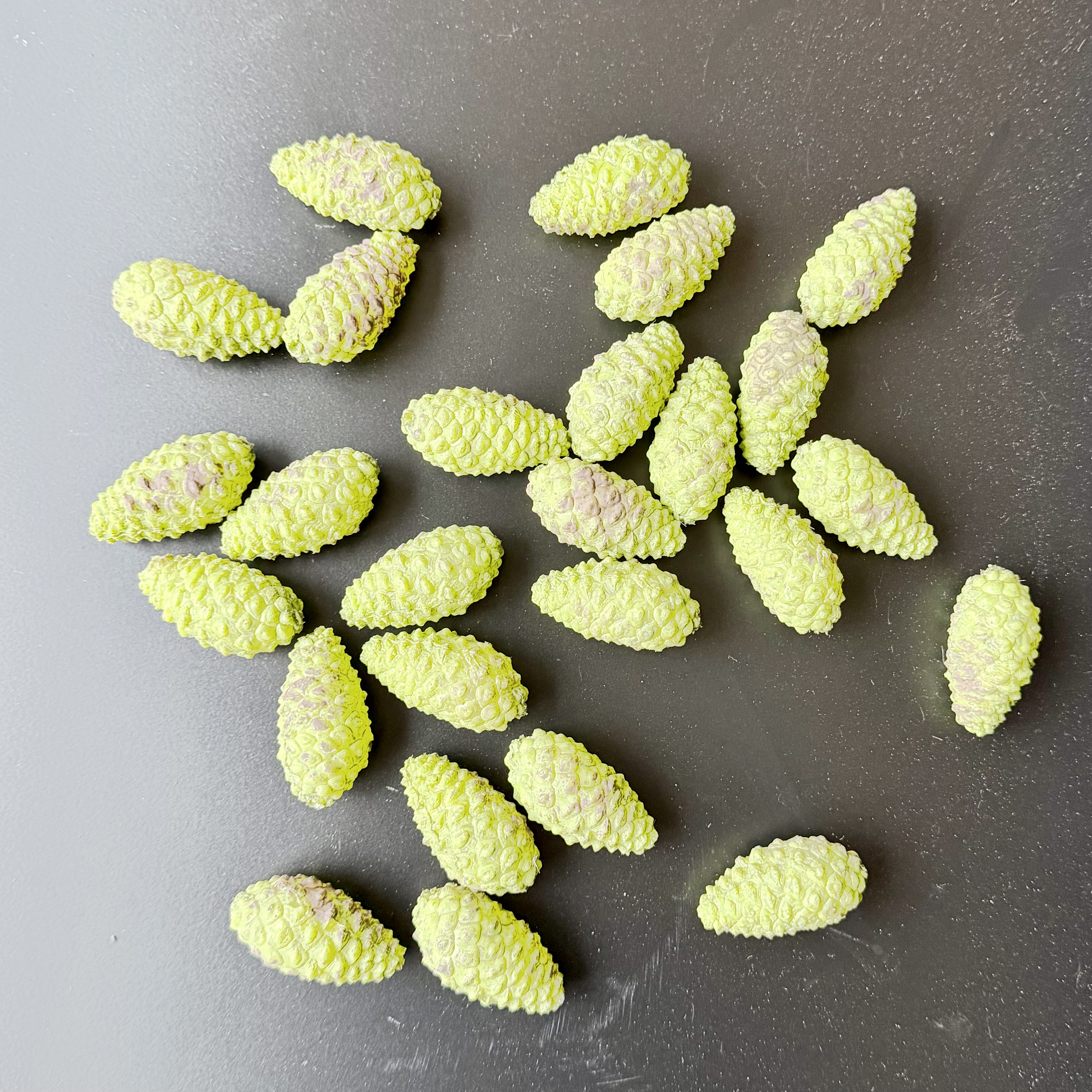 Kiefernzapfen"Brent",24Stck./Btl., L5cm