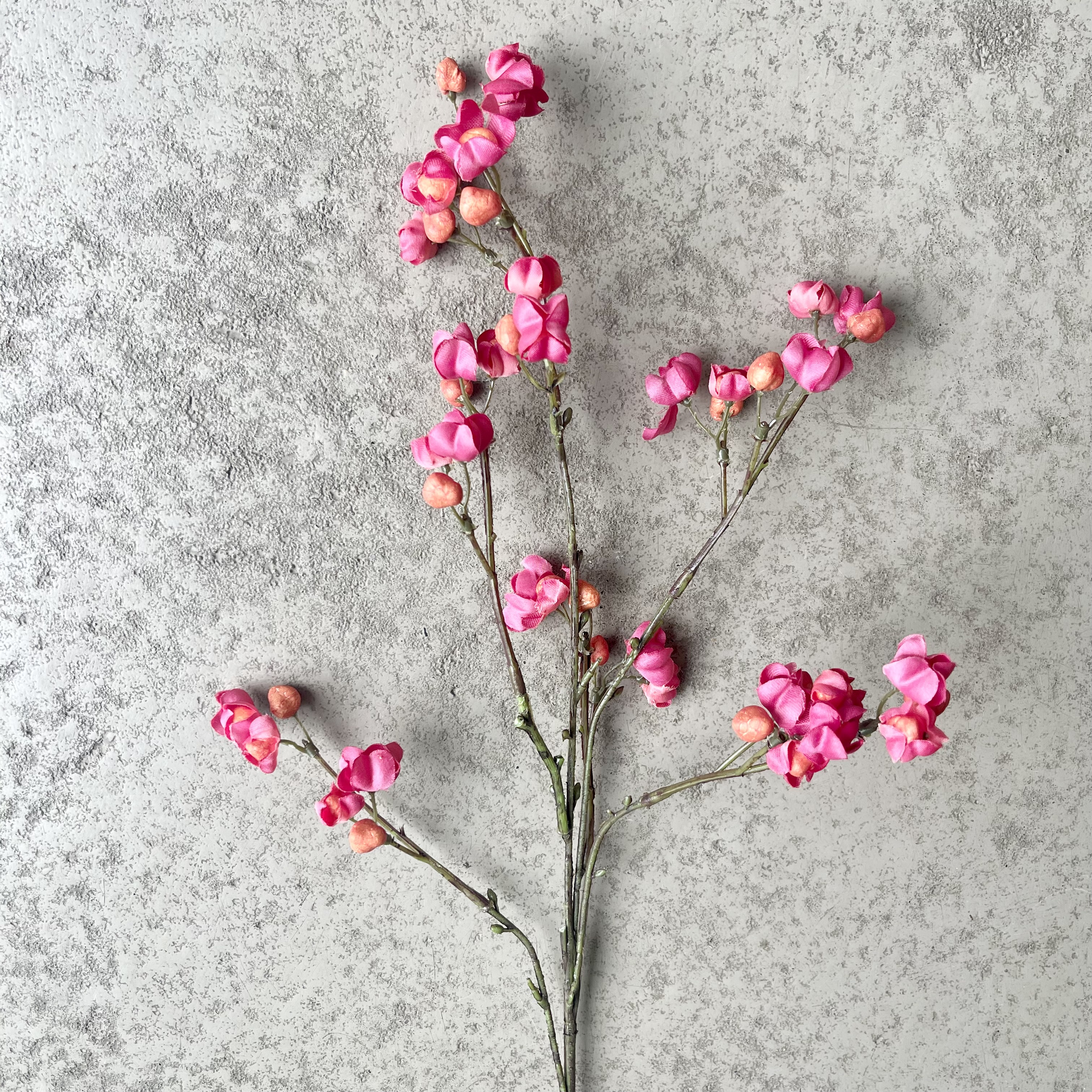 Pfaffenhütchen,L66cm,pink