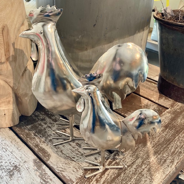 IMG_1430vIGvqgkilAMmE