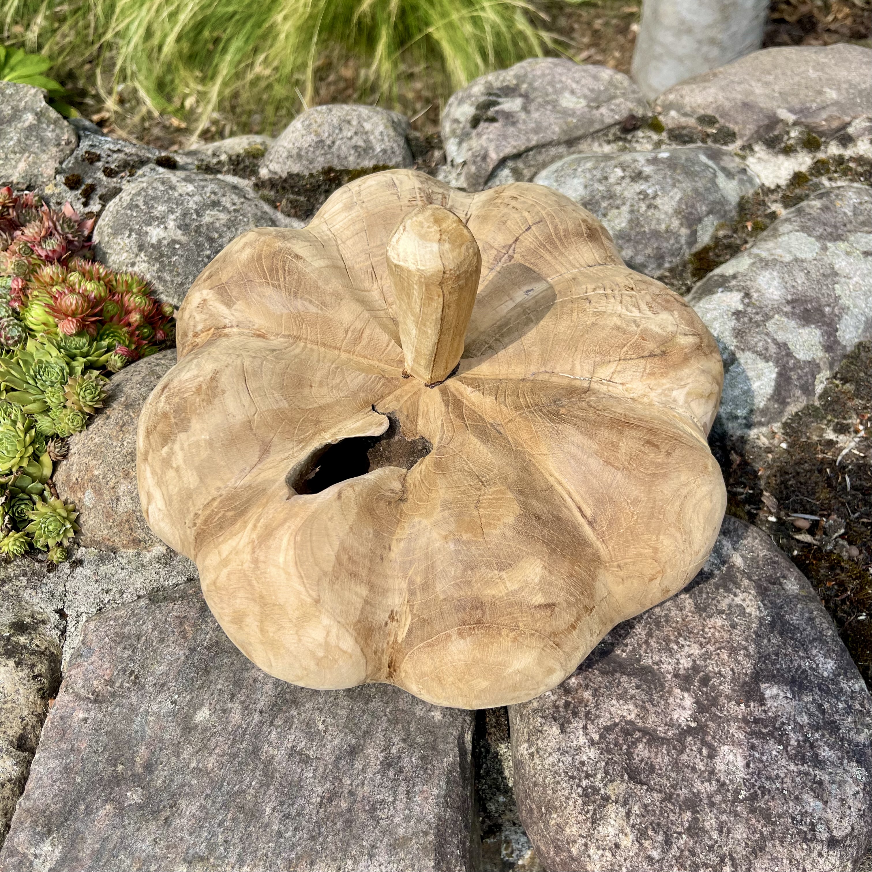 Holz-Kürbis Teak, H20cm, B30cm