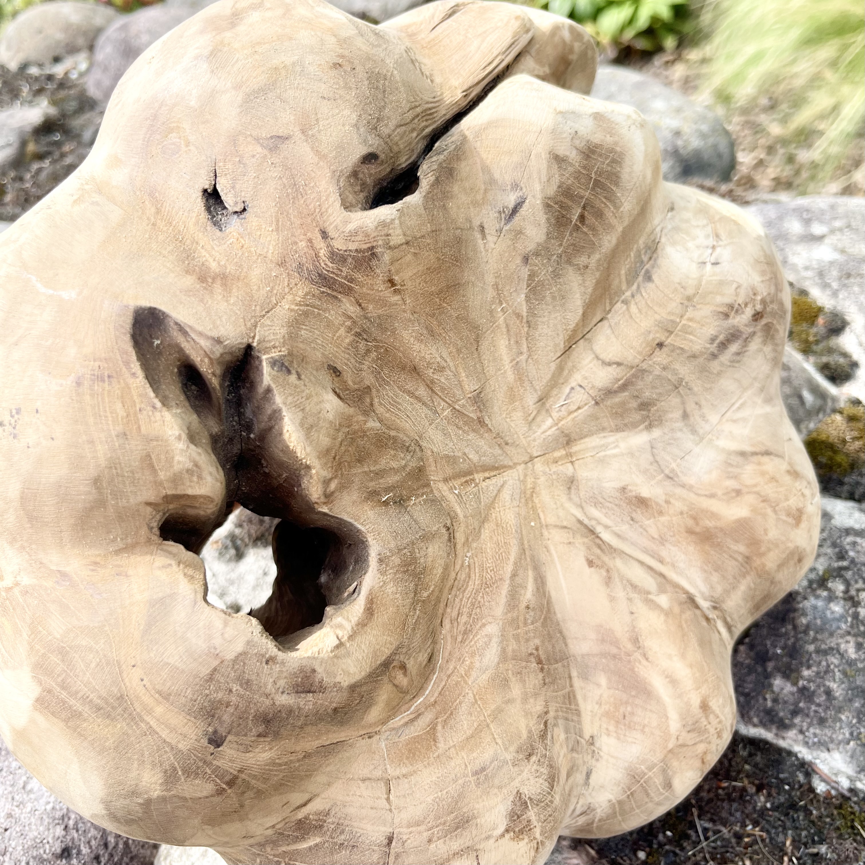 Holz-Kürbis Teak, H20cm, B30cm