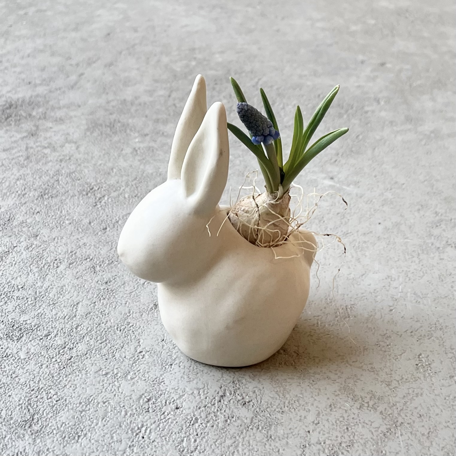 untersetzer blumenkasten Stefanplast Kleiderschrank Compose 4-türig in