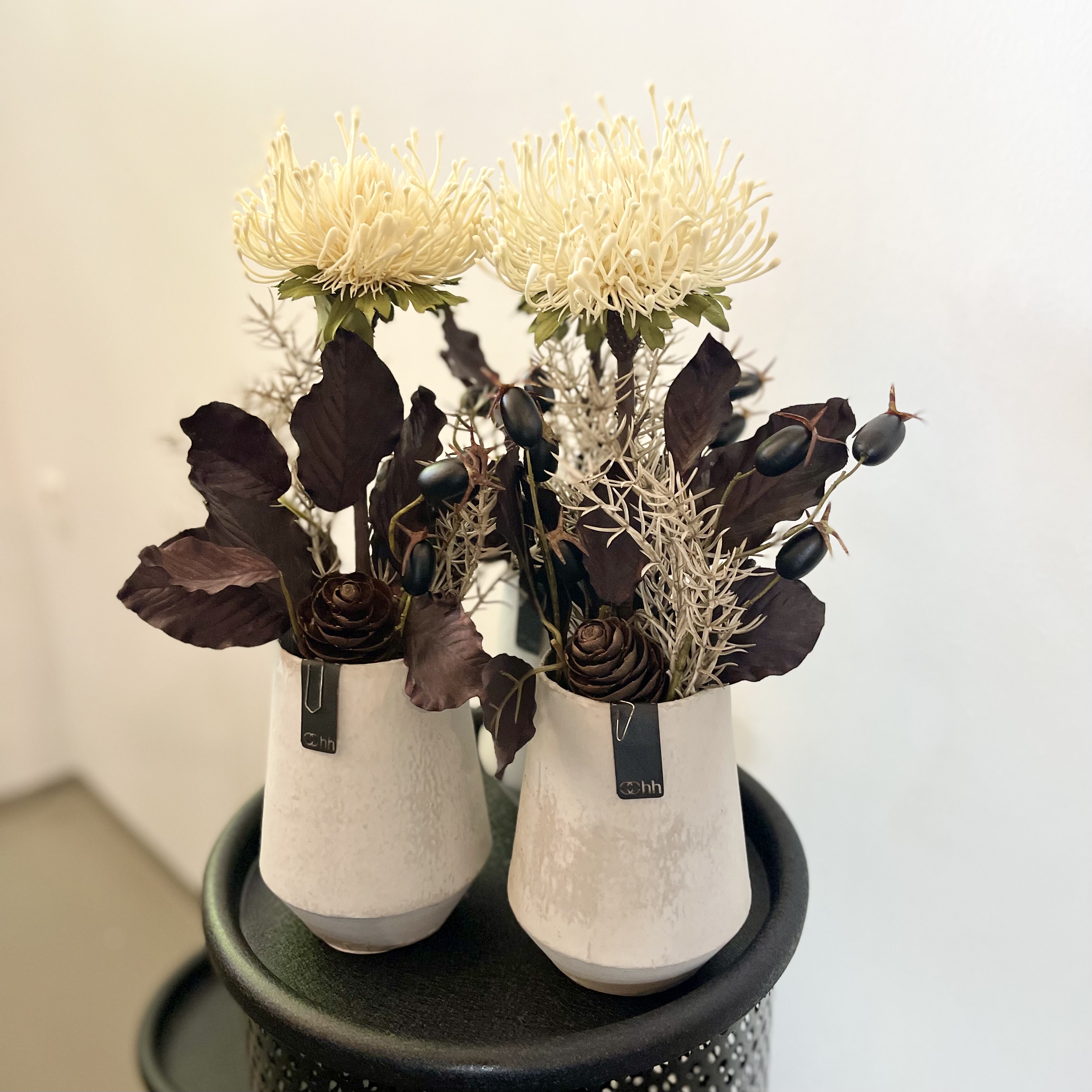 Protea Topf