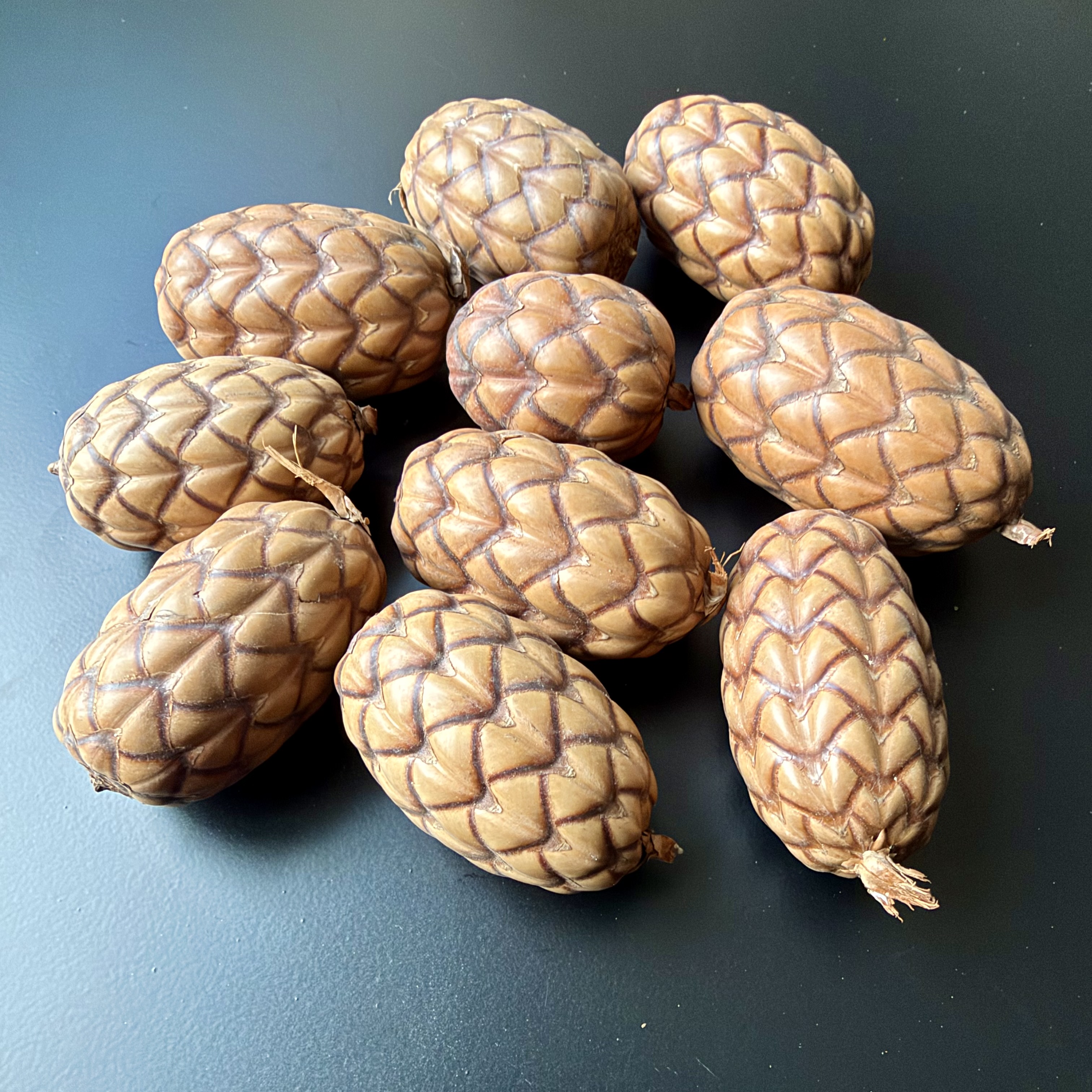 Thika- Frucht,10Stk, natur