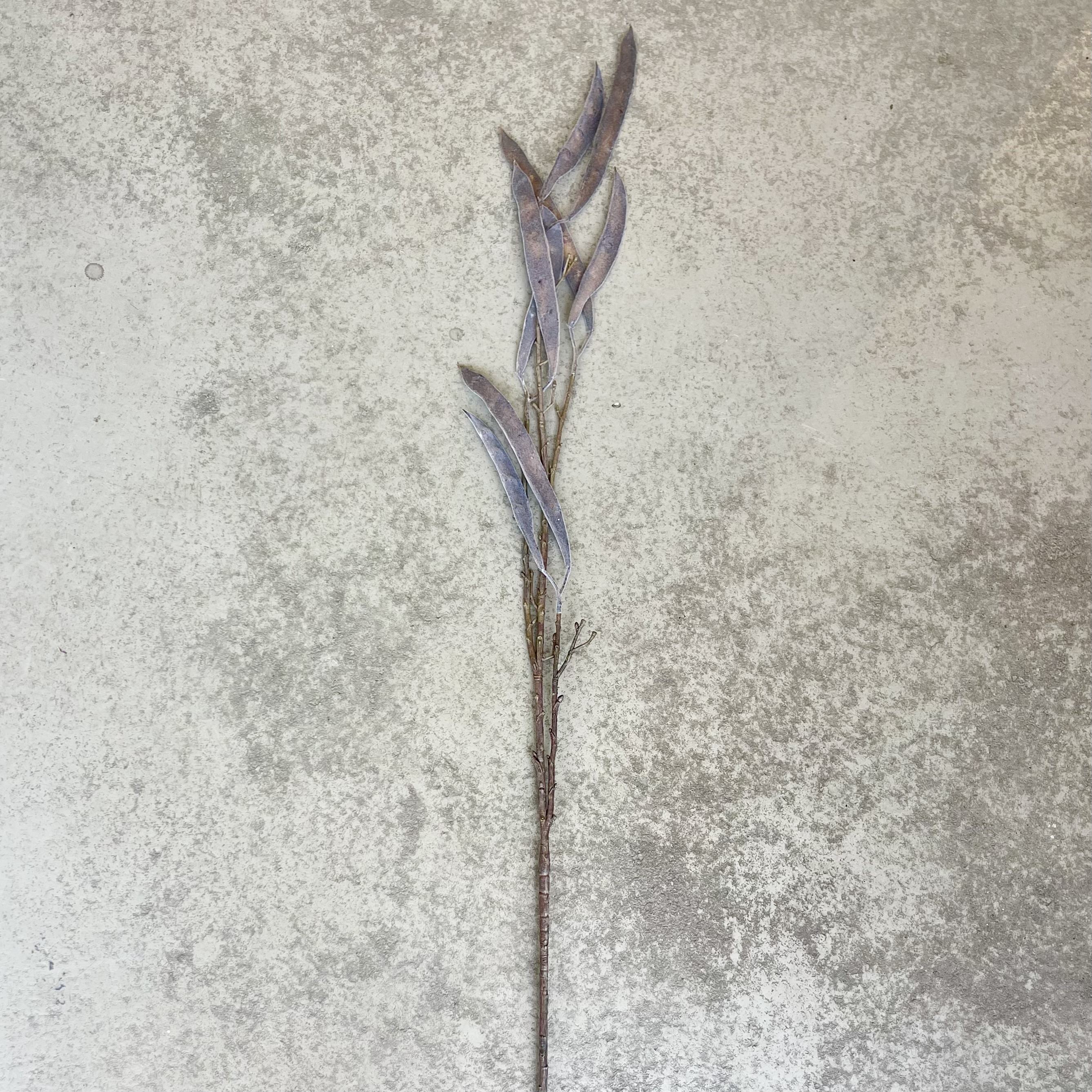 Schotenzweig "Gero", 120cm
