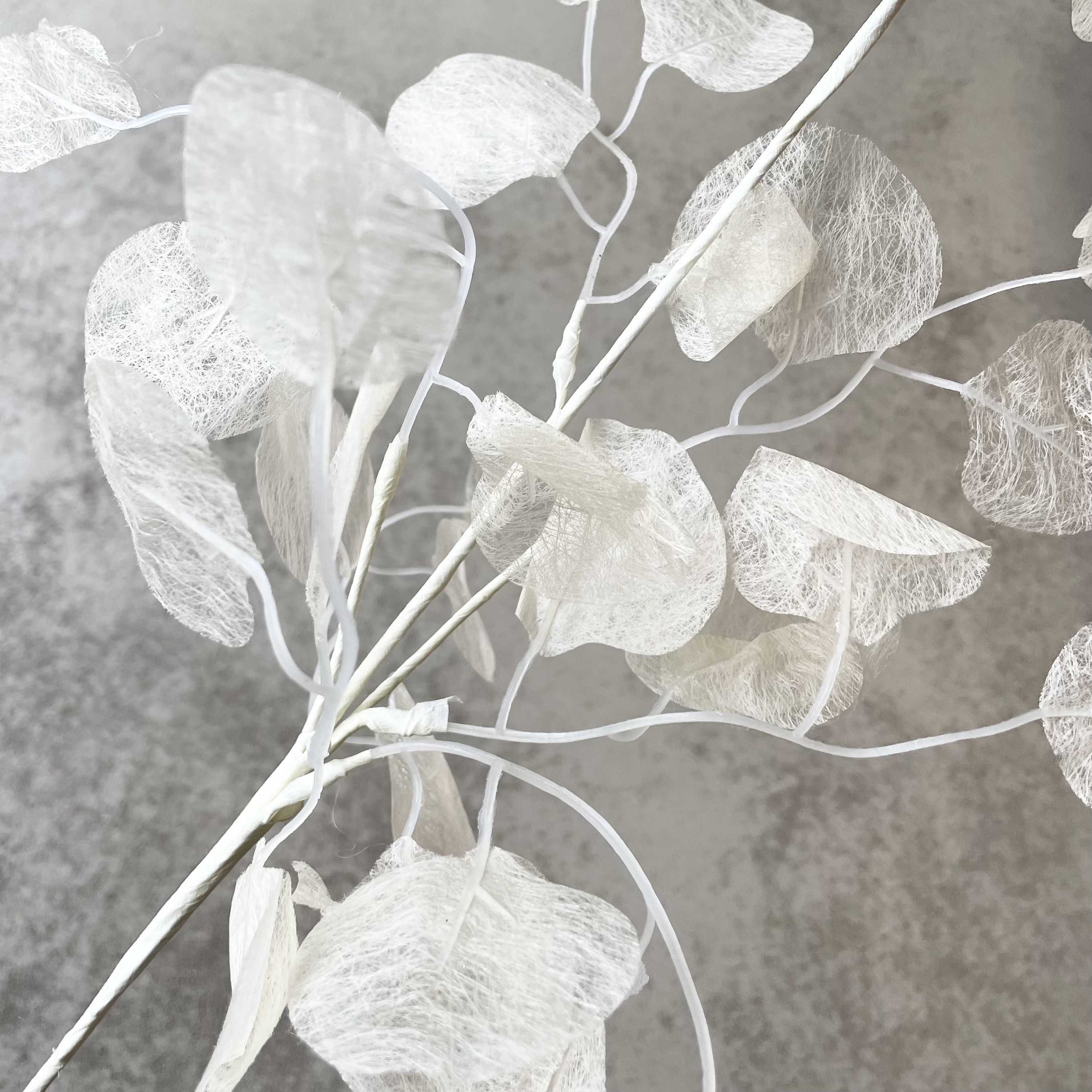 Lunaria-Zweig "Sabi" L67cm, creme