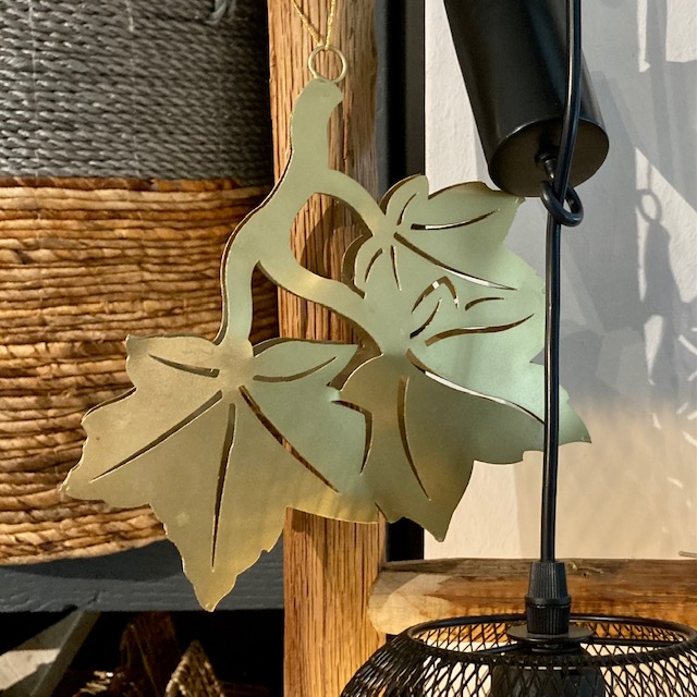 IMG_7901ZsEhBa8FrPhIf