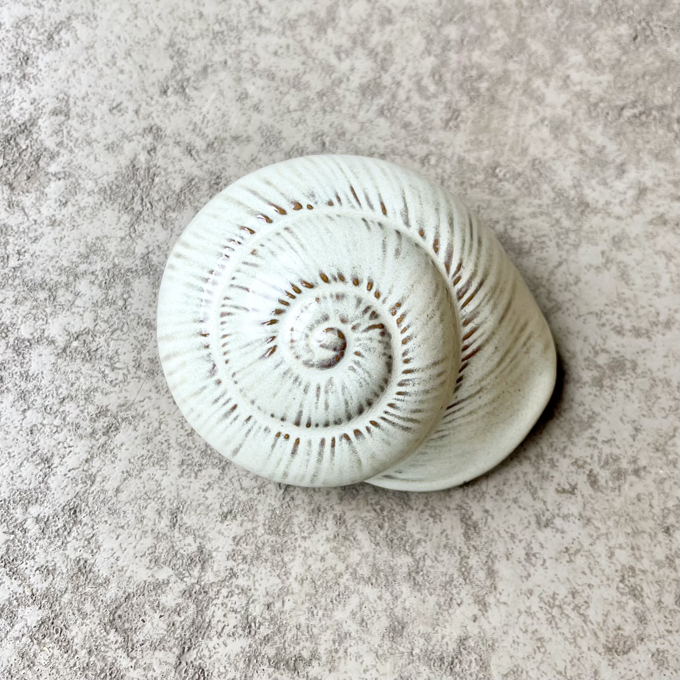 Ker.Muschel"Merle",D9H7cm, salbei