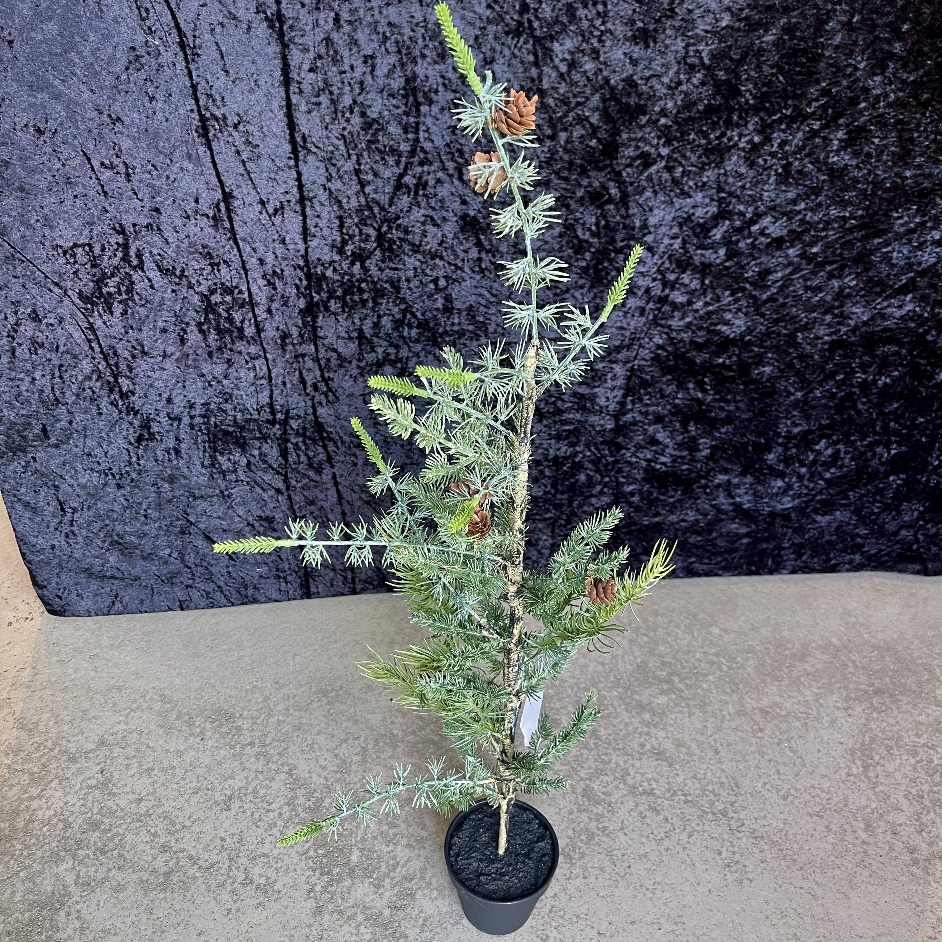 Zeder"Lova"m.Zapfen getopft,H86cm, grün grau