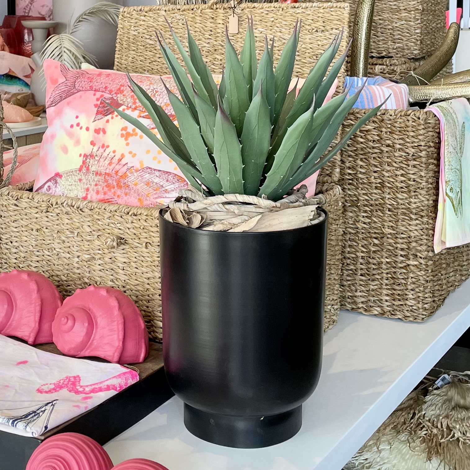 Agave im Metallkübel H48cm, schwarz/grün