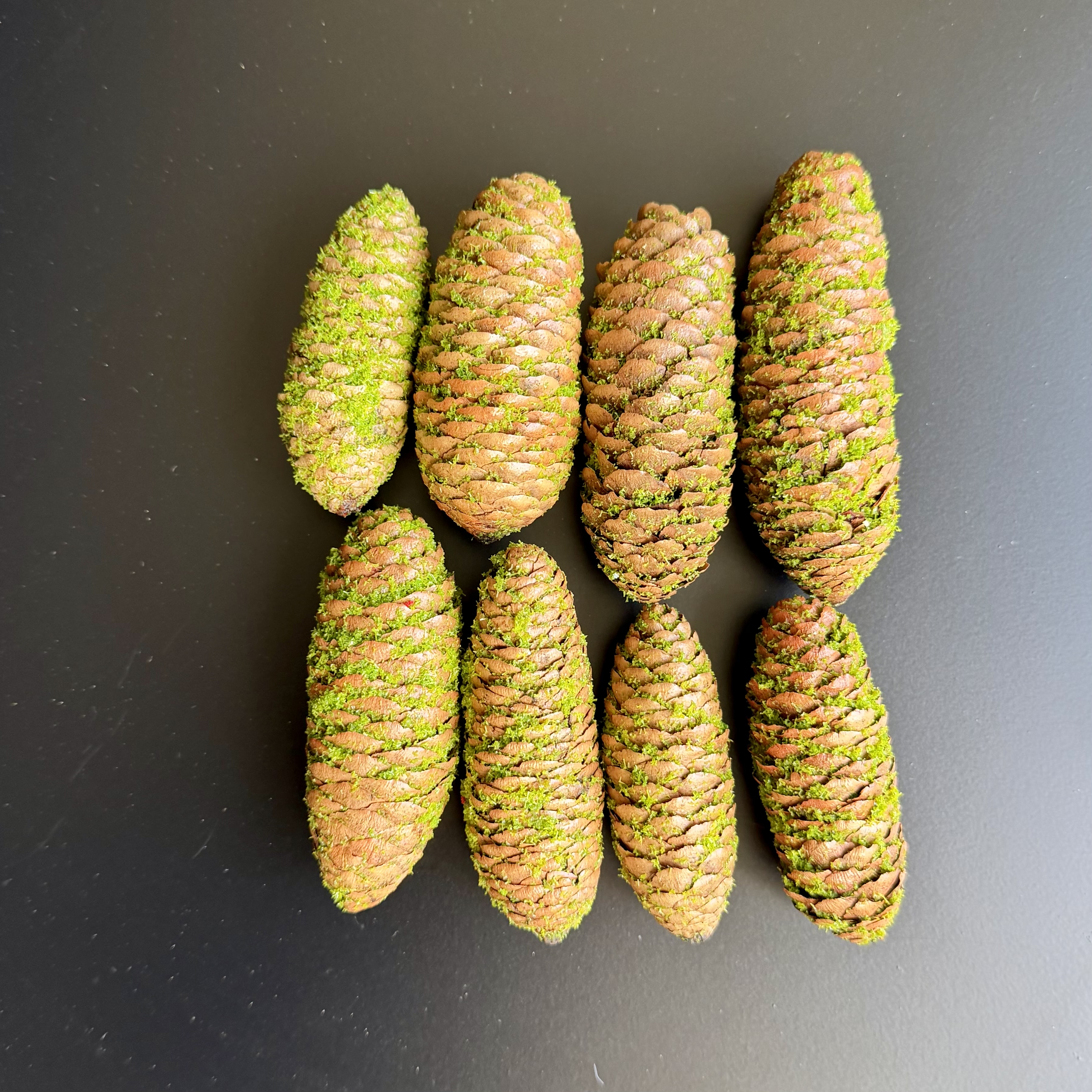 Fichtenzapfen"Ajan"8Netz,8-10cm, grün