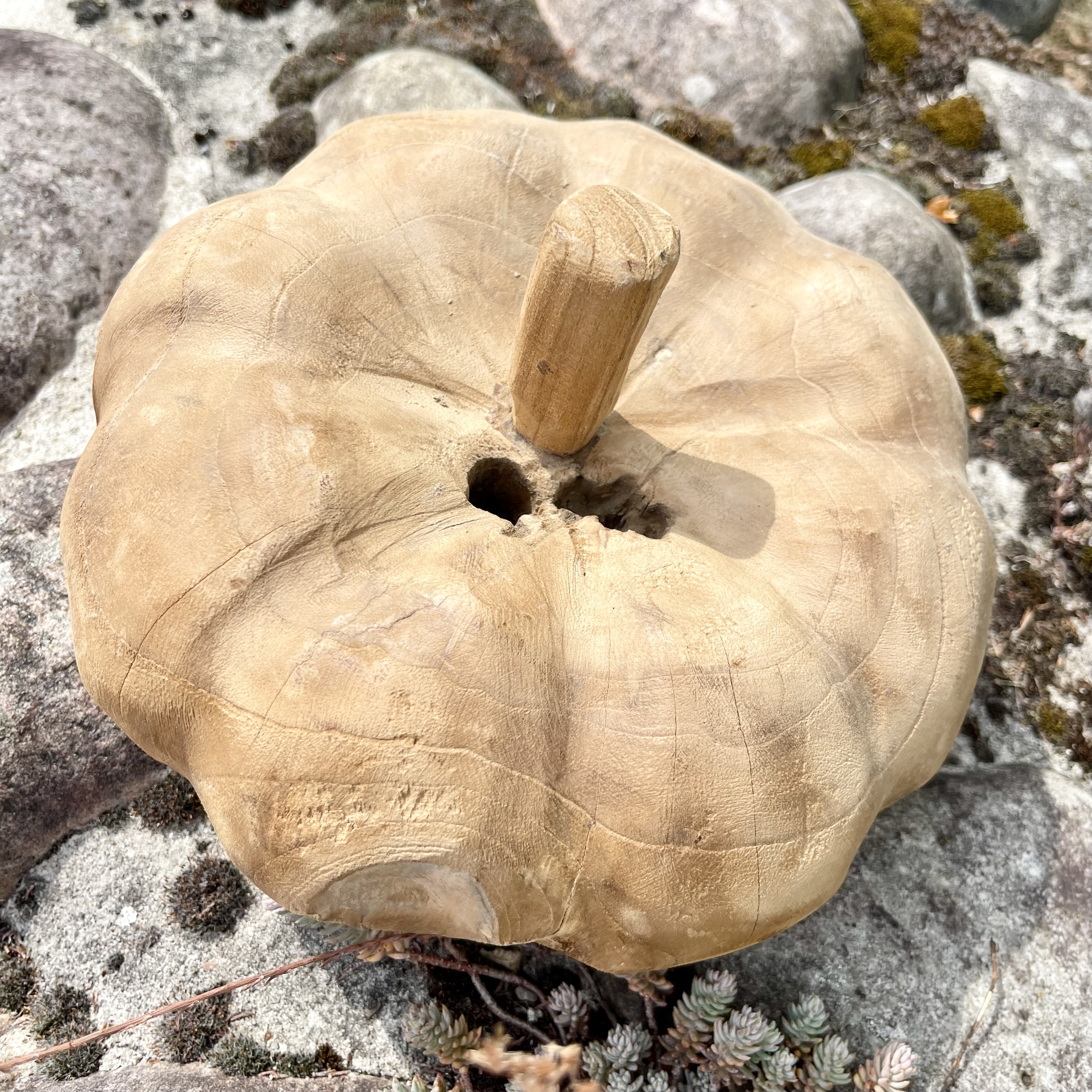 Holz-Kürbis Teak, H18cm, B25cm