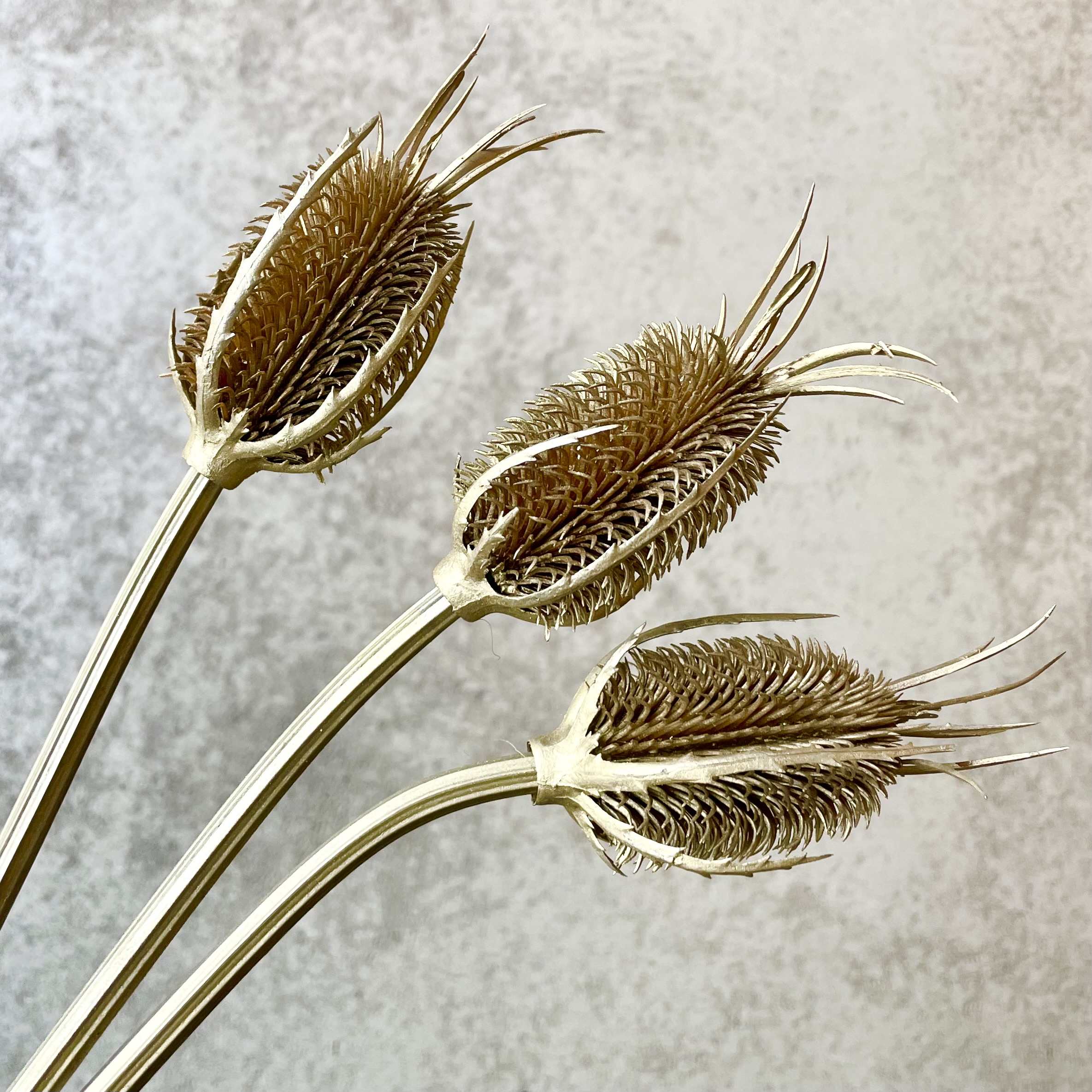 Distel "Mantua" x3, L78cm, gold