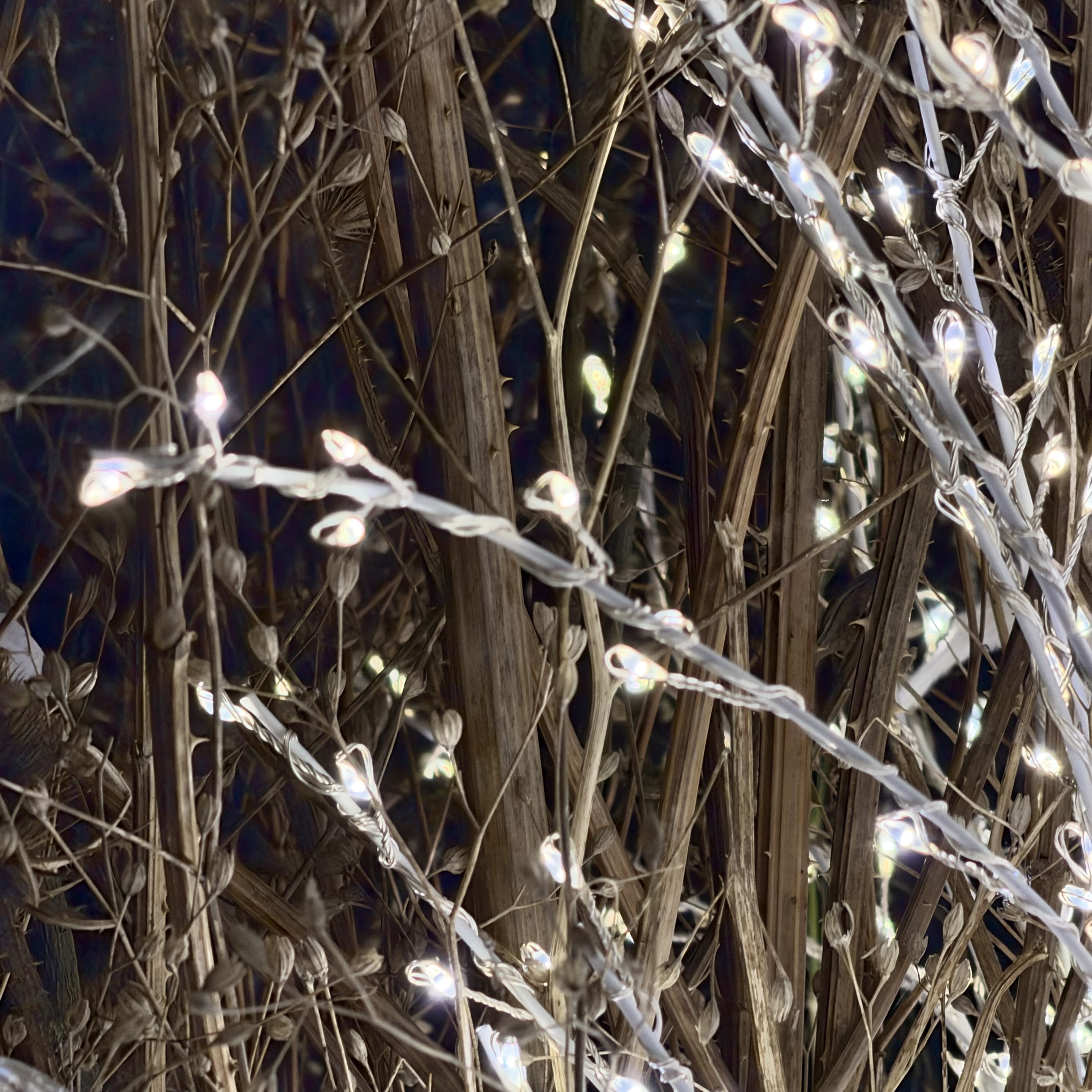 LED Baum "Aimee",H180cm,8hTi,A.weiß