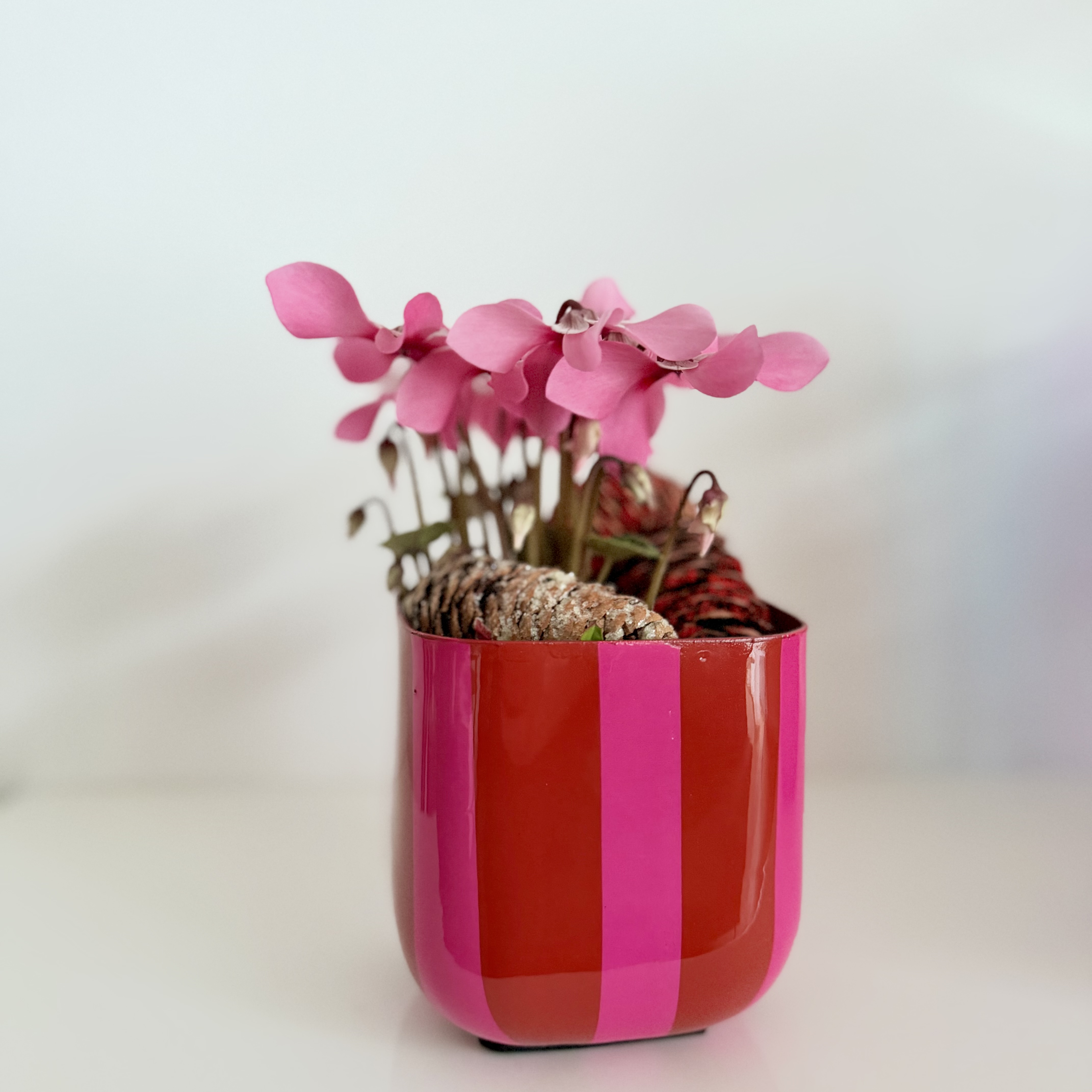 Met.Kb"Karus"quad.L11H11cm, pink/rot