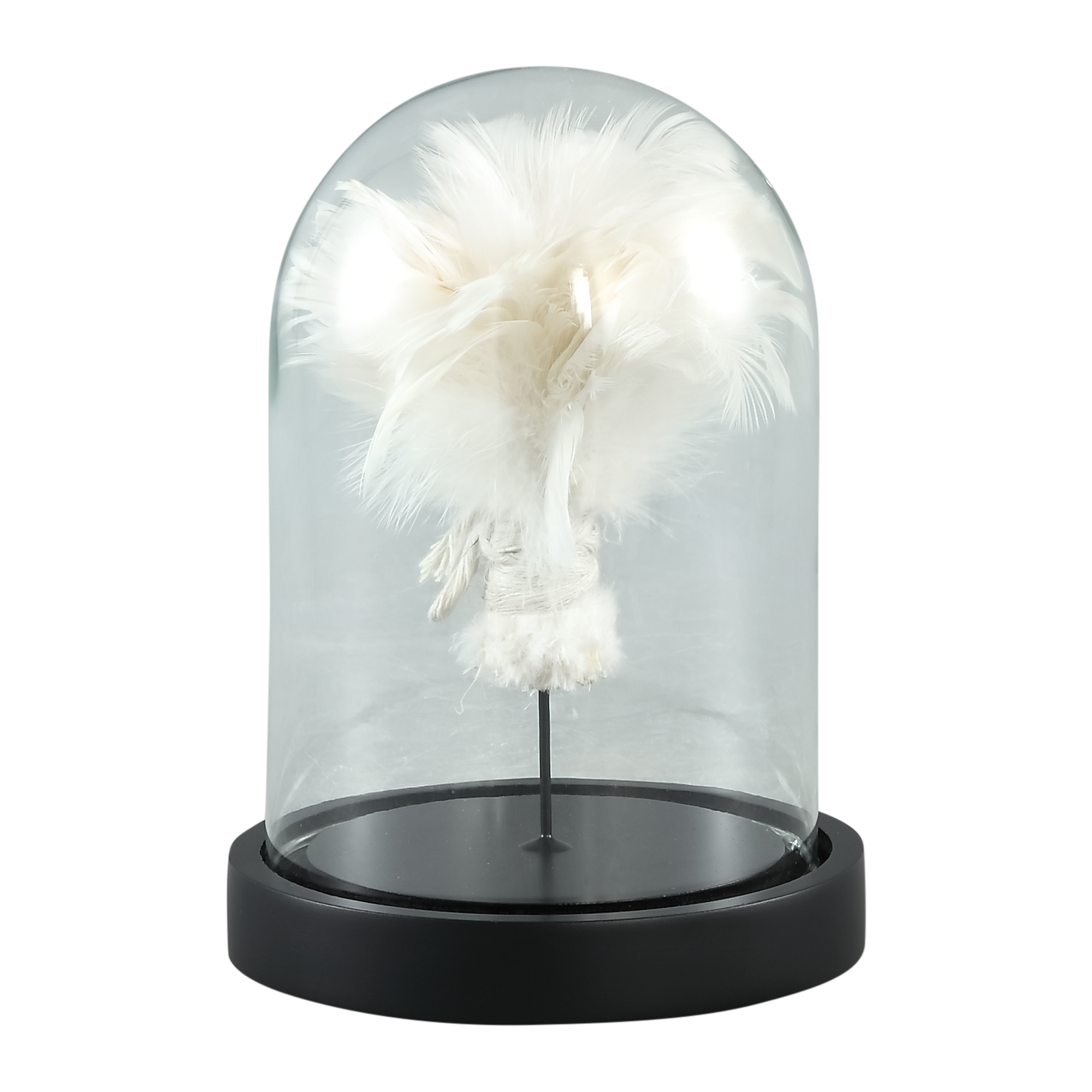 690838 Glasglocke Federweiß "S"