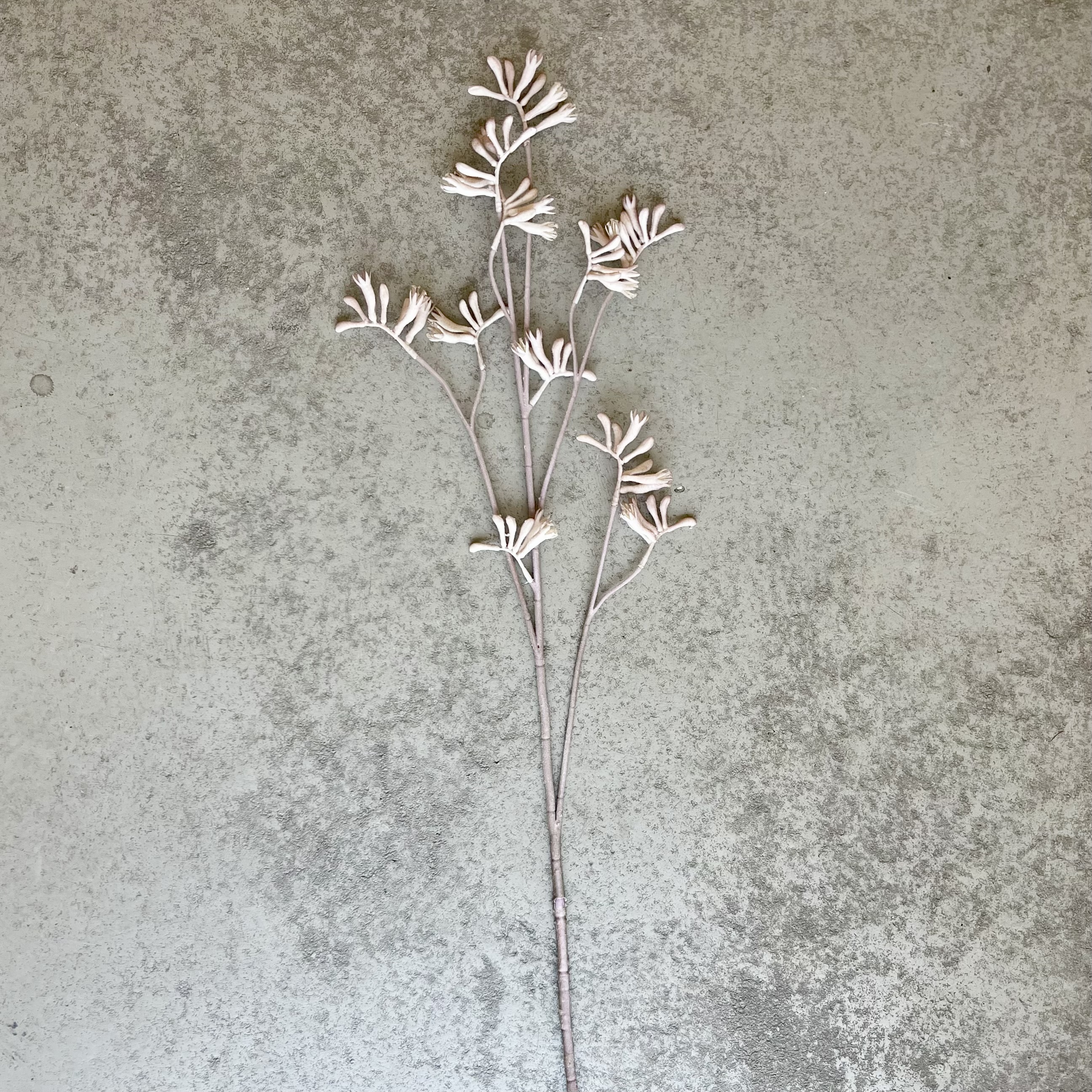 Kängurufuß "Gary" 95cm