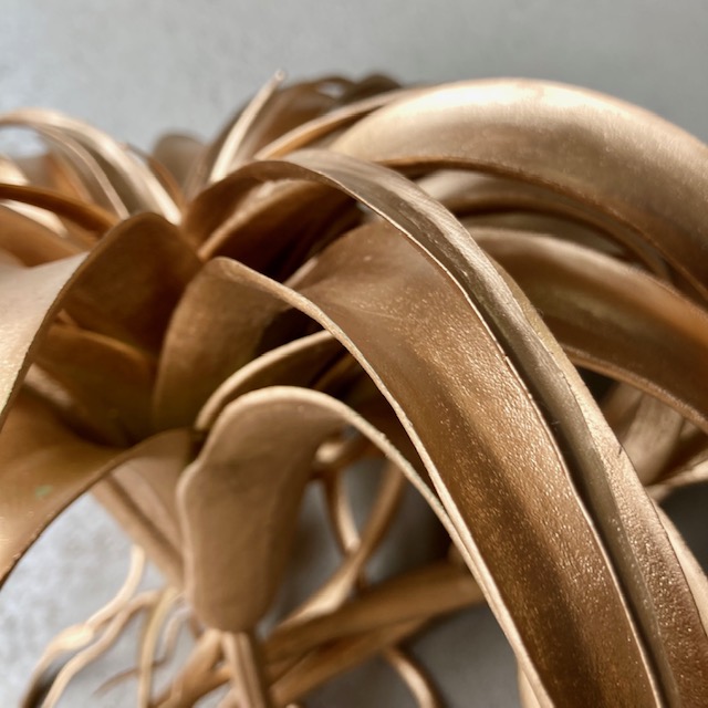 IMG_6757iRcrmr4PzZq3V