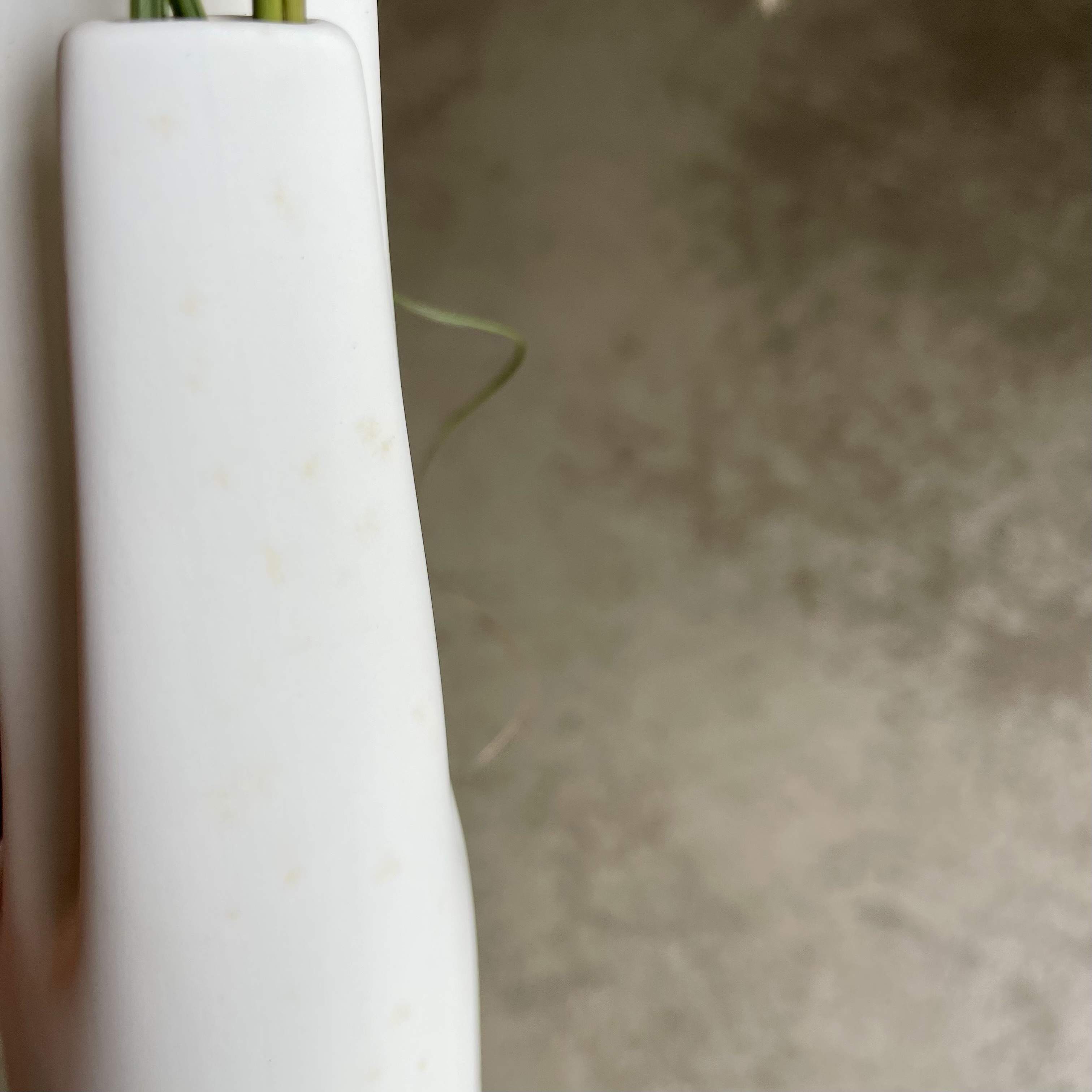 Design-Vase "RHIZOM" 4er alto weiß L12cm