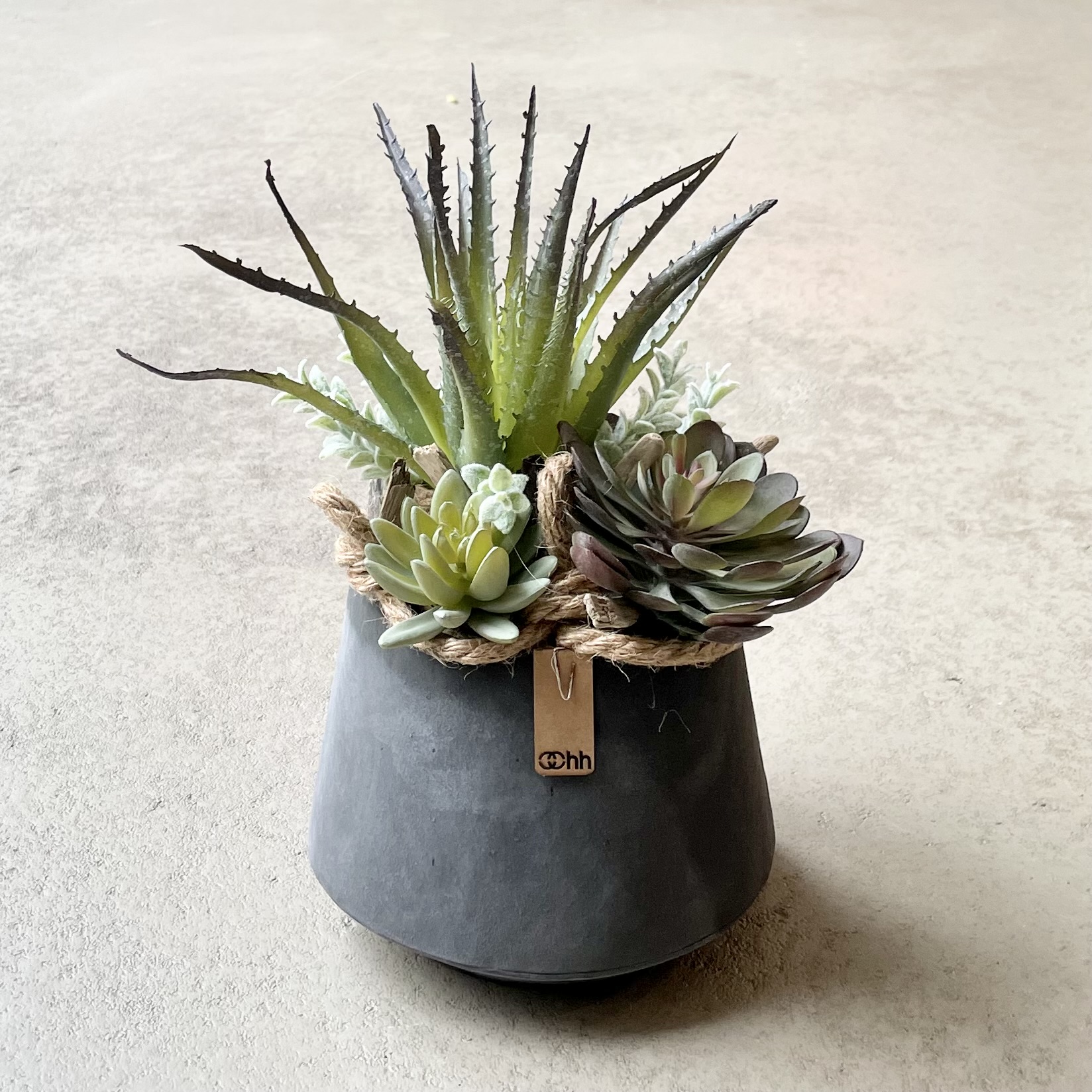 OOhh-Topf mit Sukkulenten D17cm, anthrazit/grün/natur