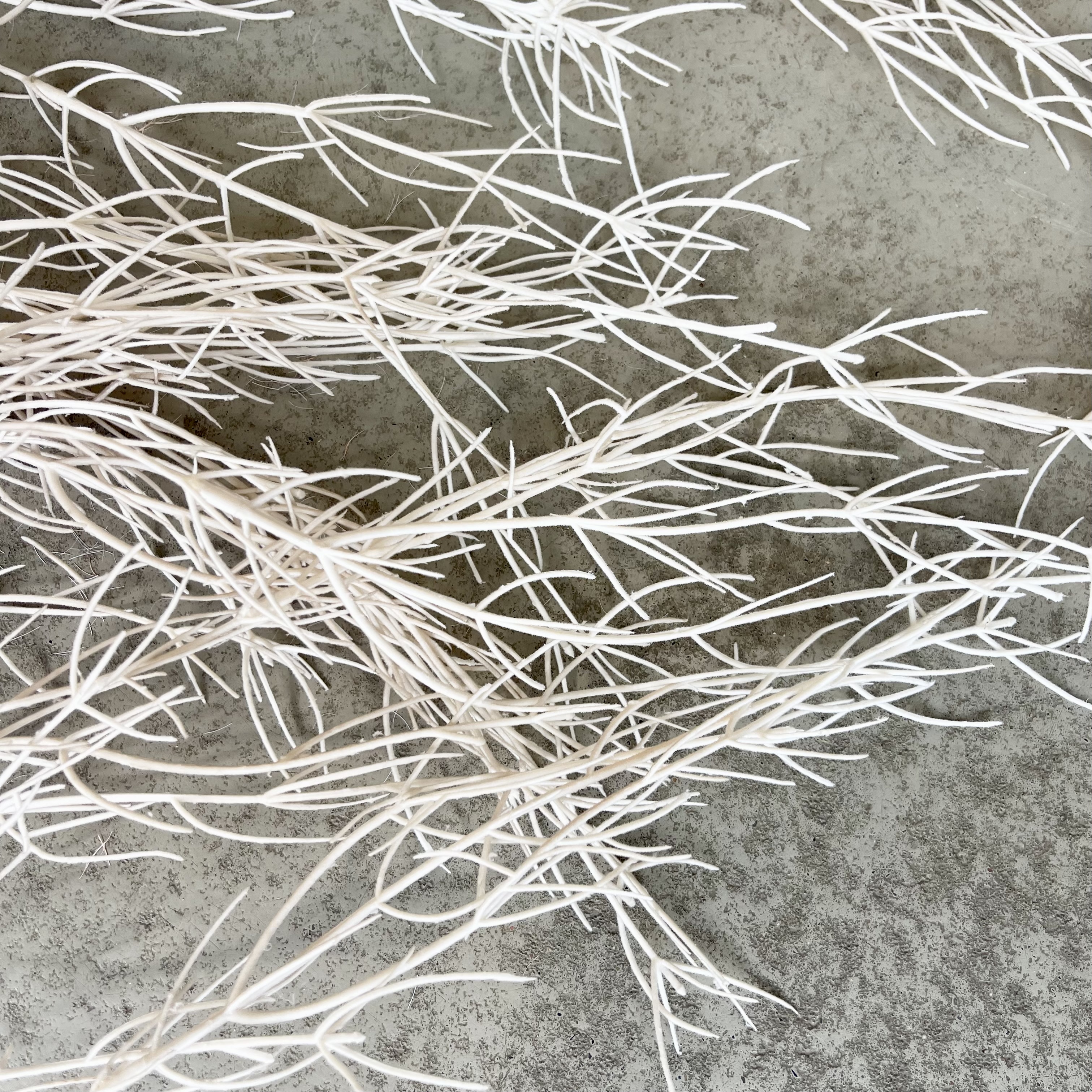 Dekozweig"Fips",L175cm,creme