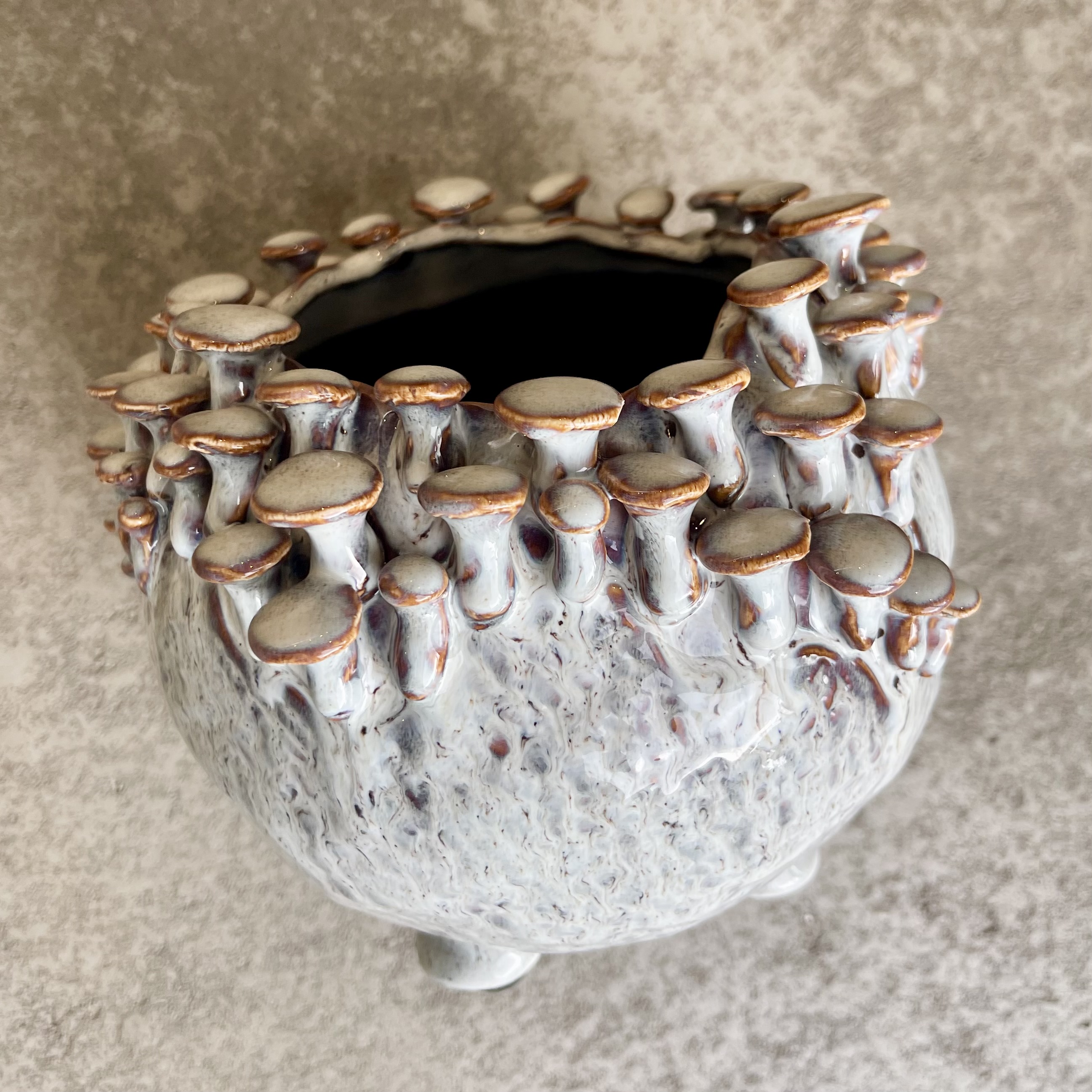 Pilztopf mushroom grau