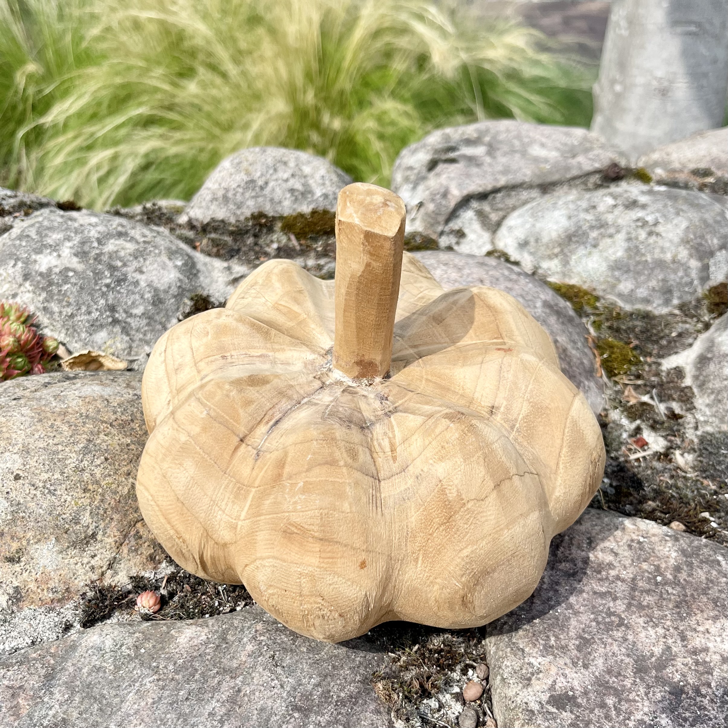 Holz-Kürbis Teak, H15cm, B20cm