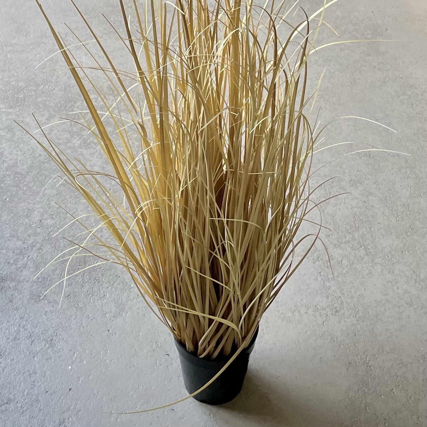 Gras "Boho" getopft H94cm dry-look