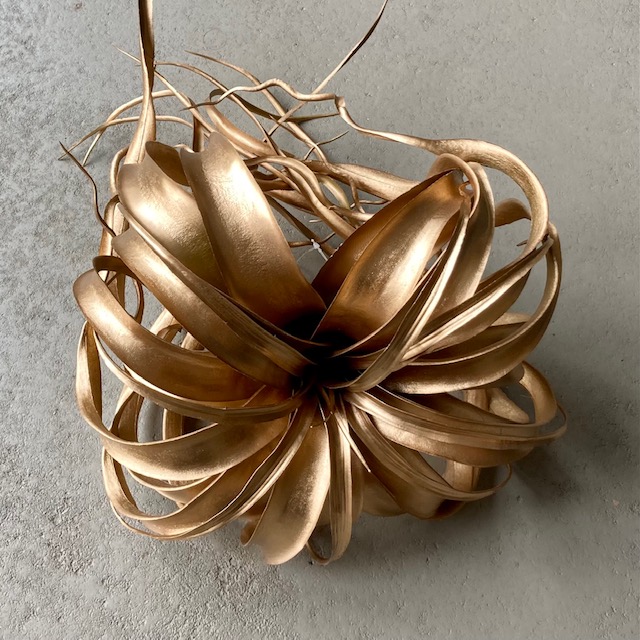 IMG_6754GgEx5d0xeQQi0