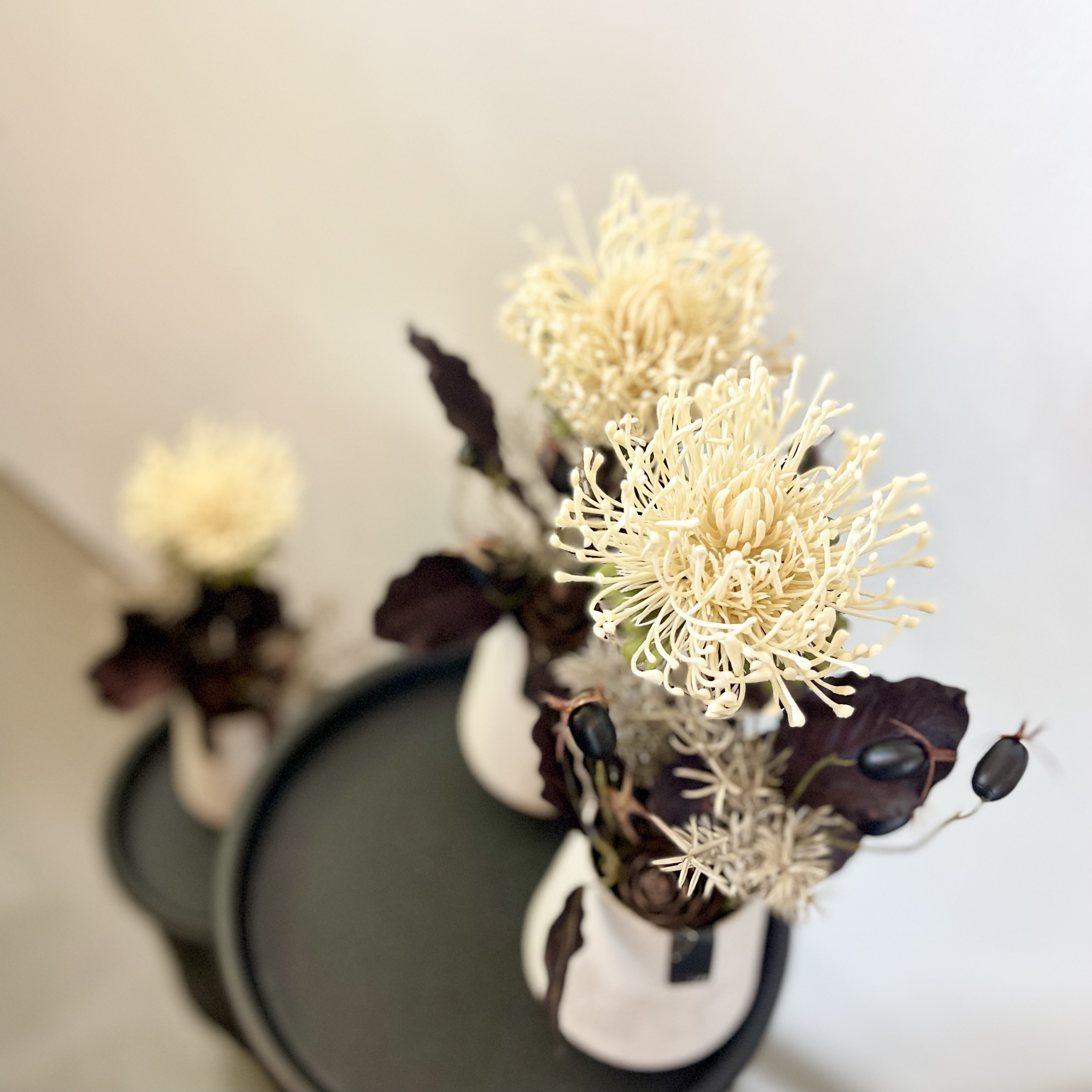 Protea Topf