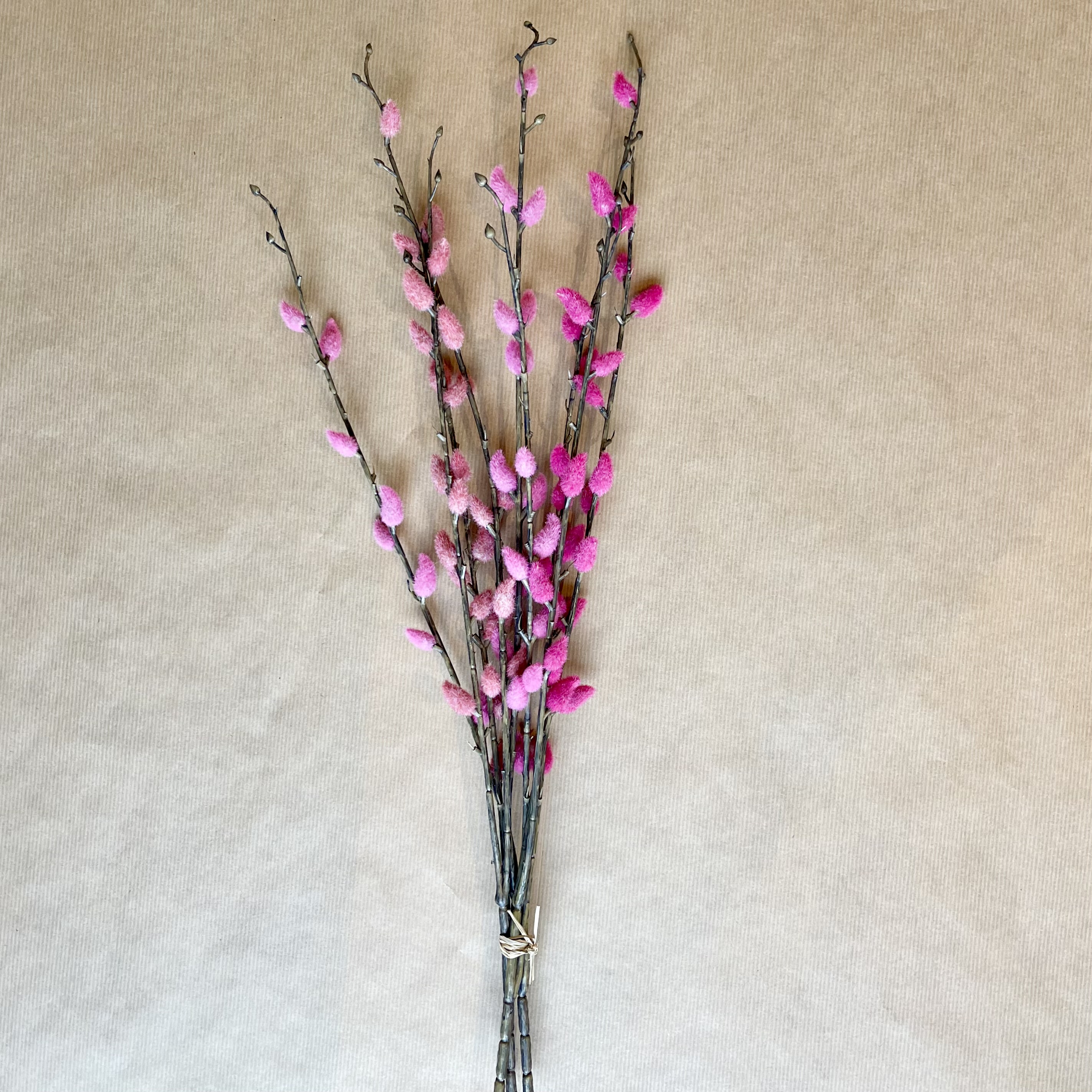 Weidenkätzchen"Inka",3Zw.,L55cm,pink