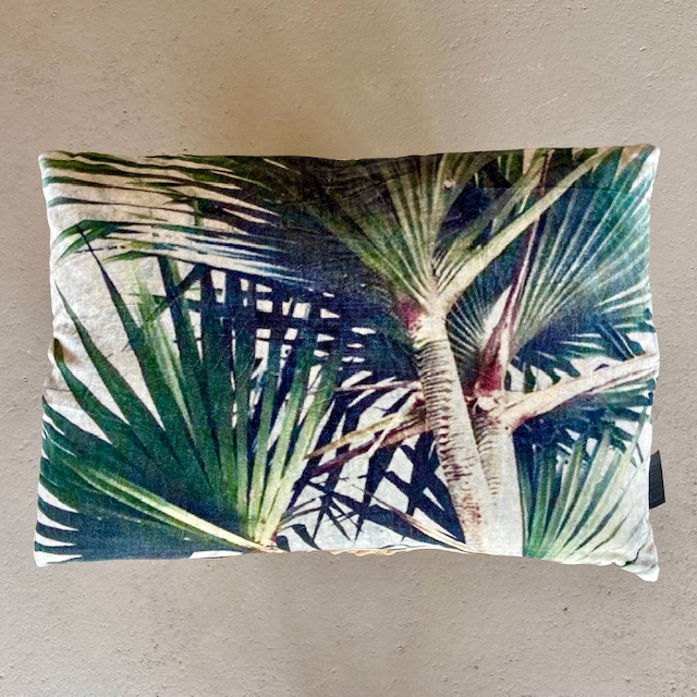 IMG_2156tkgwZp2Ljzfml