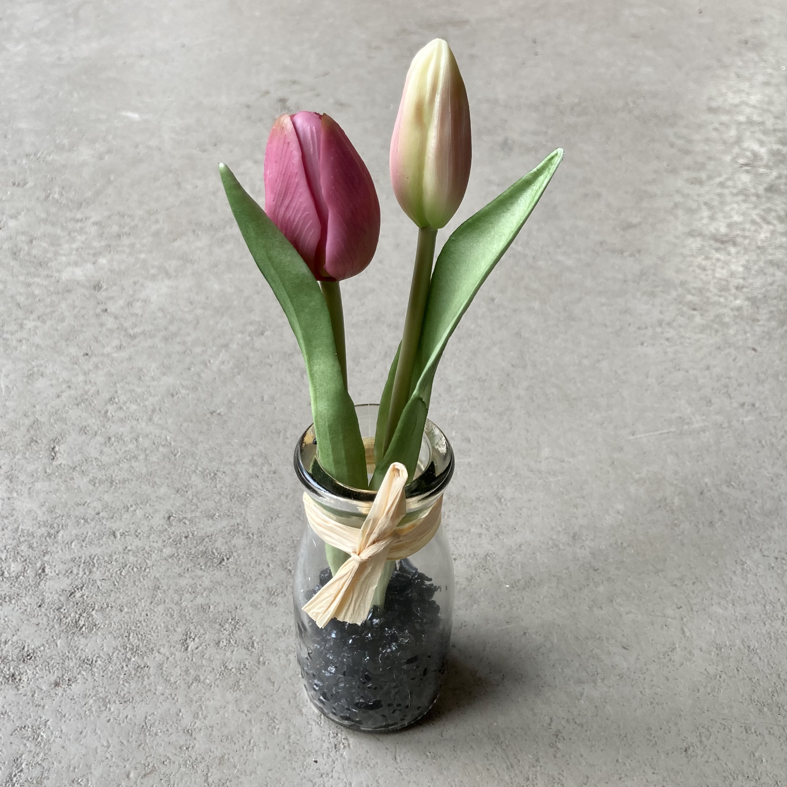 Tulpe