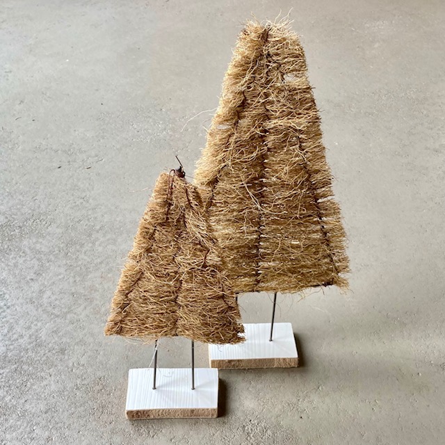 IMG_6688VxO0T5xw06D7h