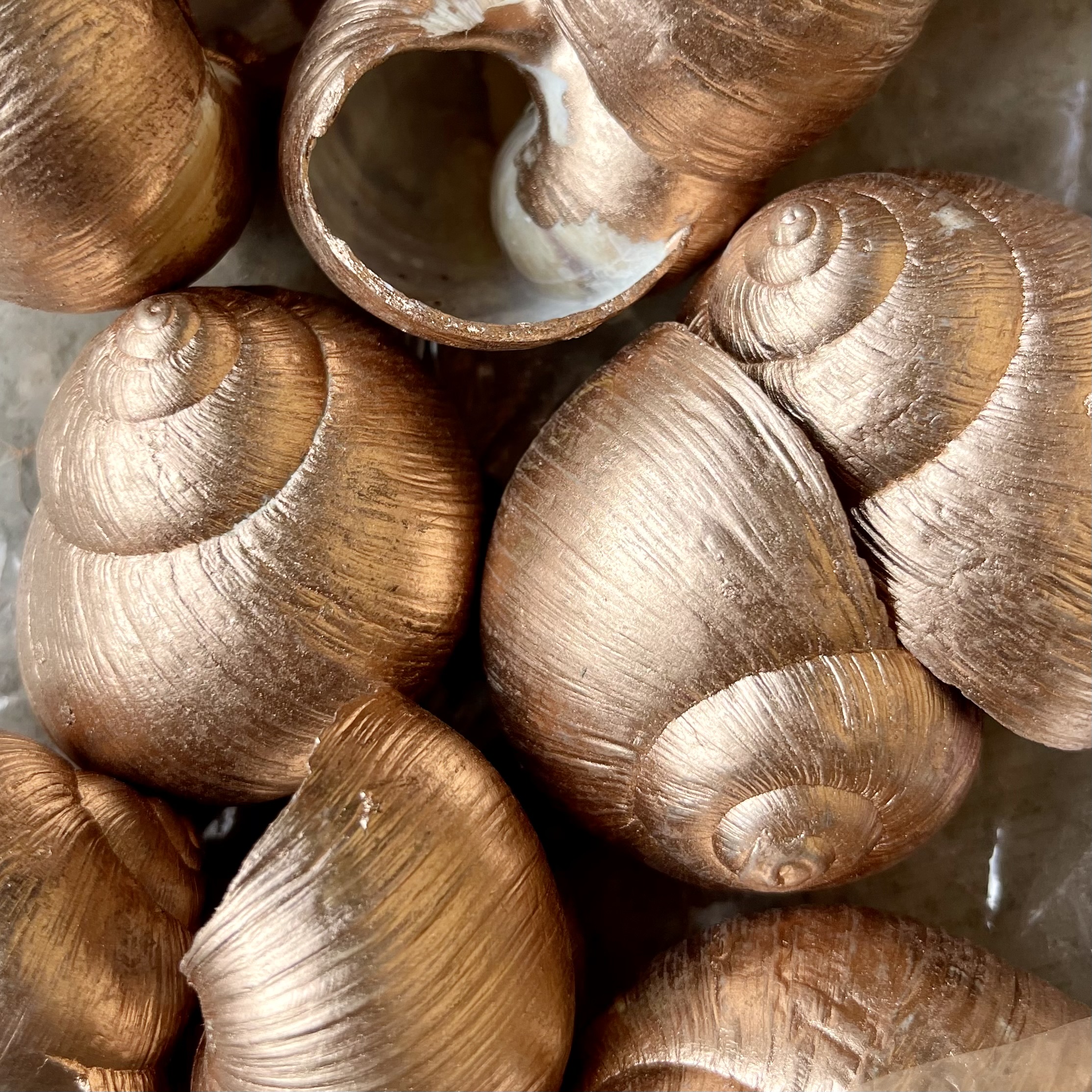Schnecke Kupfer