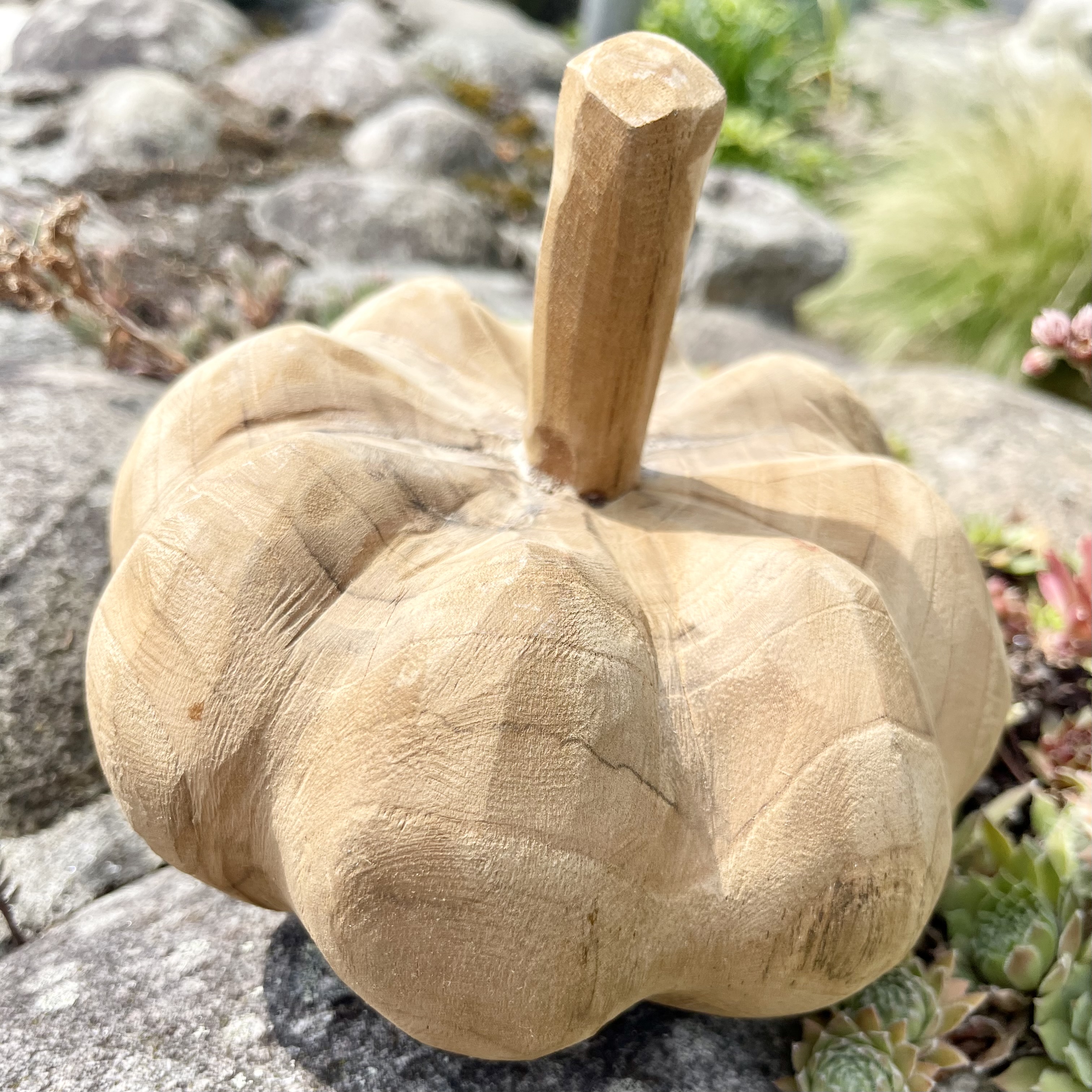 Holz-Kürbis Teak, H15cm, B20cm