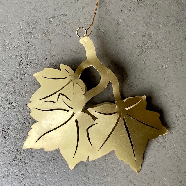 IMG_7892tJFgxbAEv6SSo