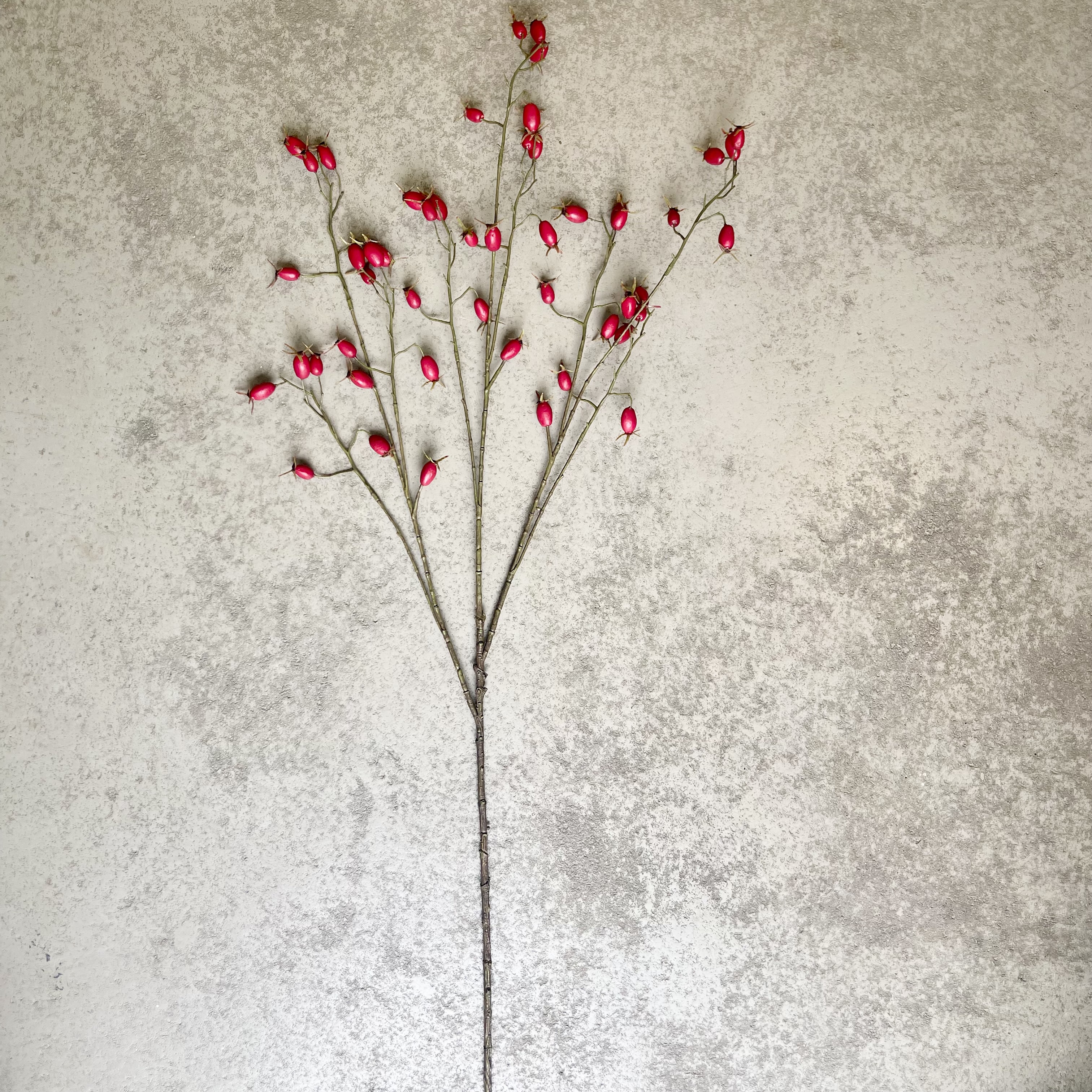 Hagebuttenzweig"Pim",L106cm, rot