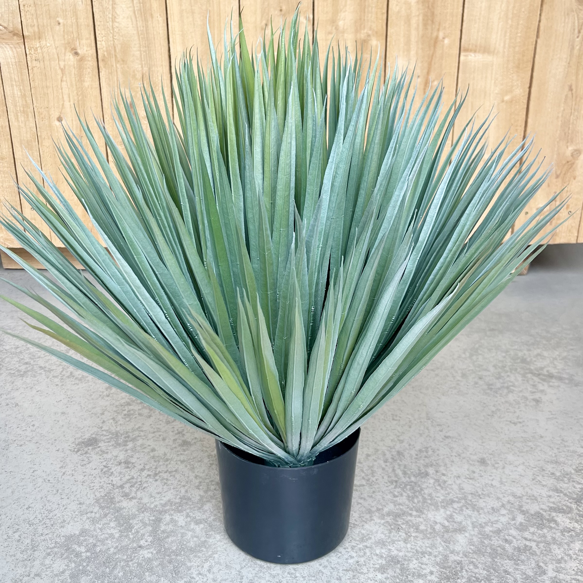 Yucca getopft, H60cm, grün