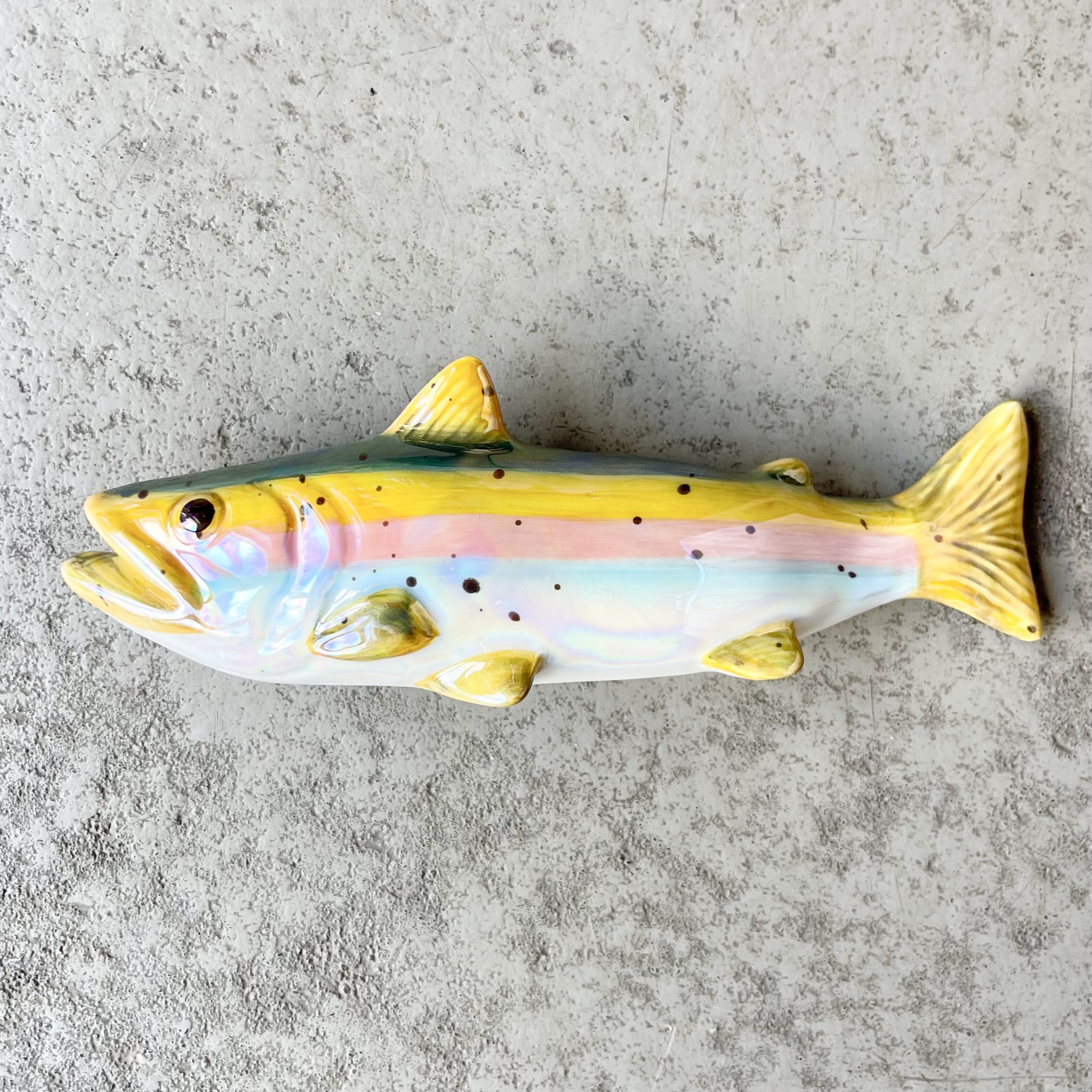 Mignon, Deko-Fisch, Regenbogenforelle, S, bunt