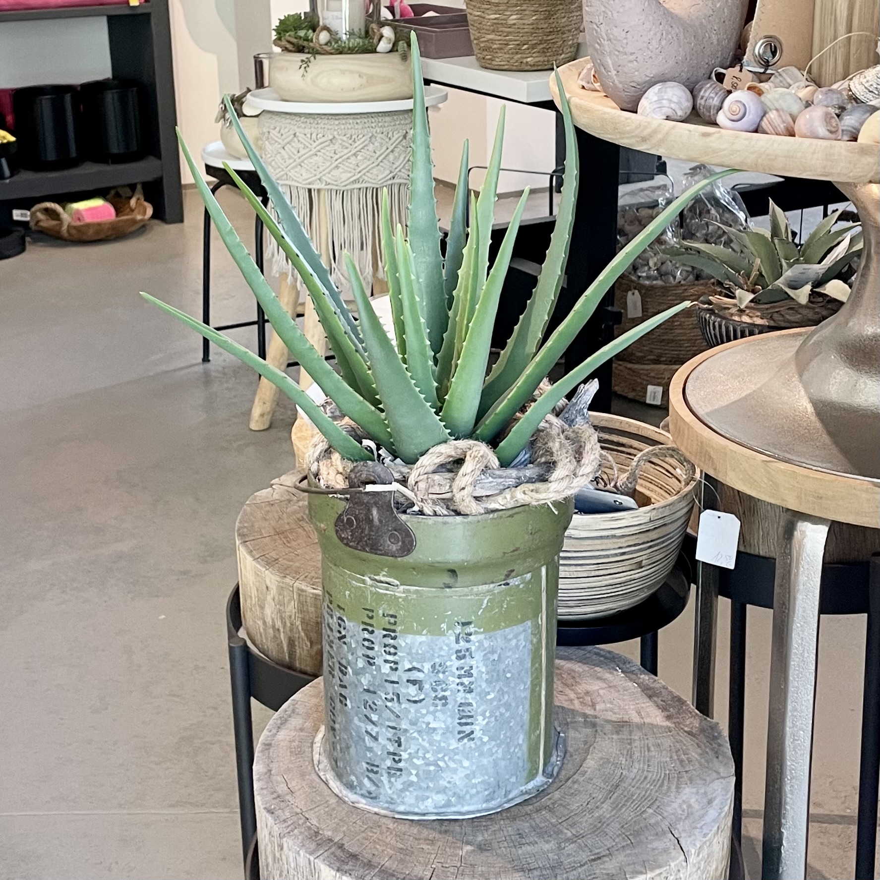 Agave-Kunstpflanze im Topf H40cm, schwarz(grün