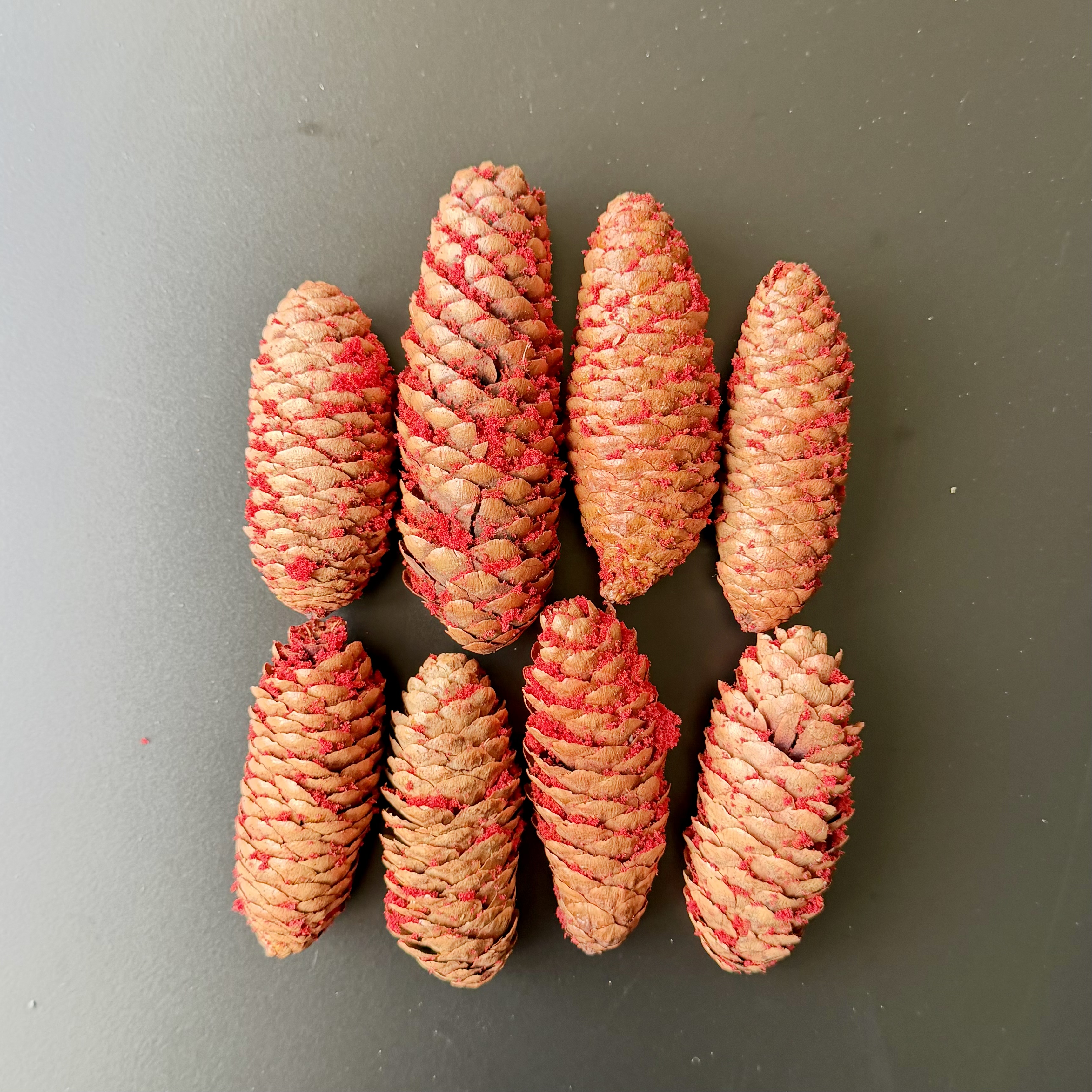 Fichtenzapfen"Ajan"8Netz,8-10cm, rot
