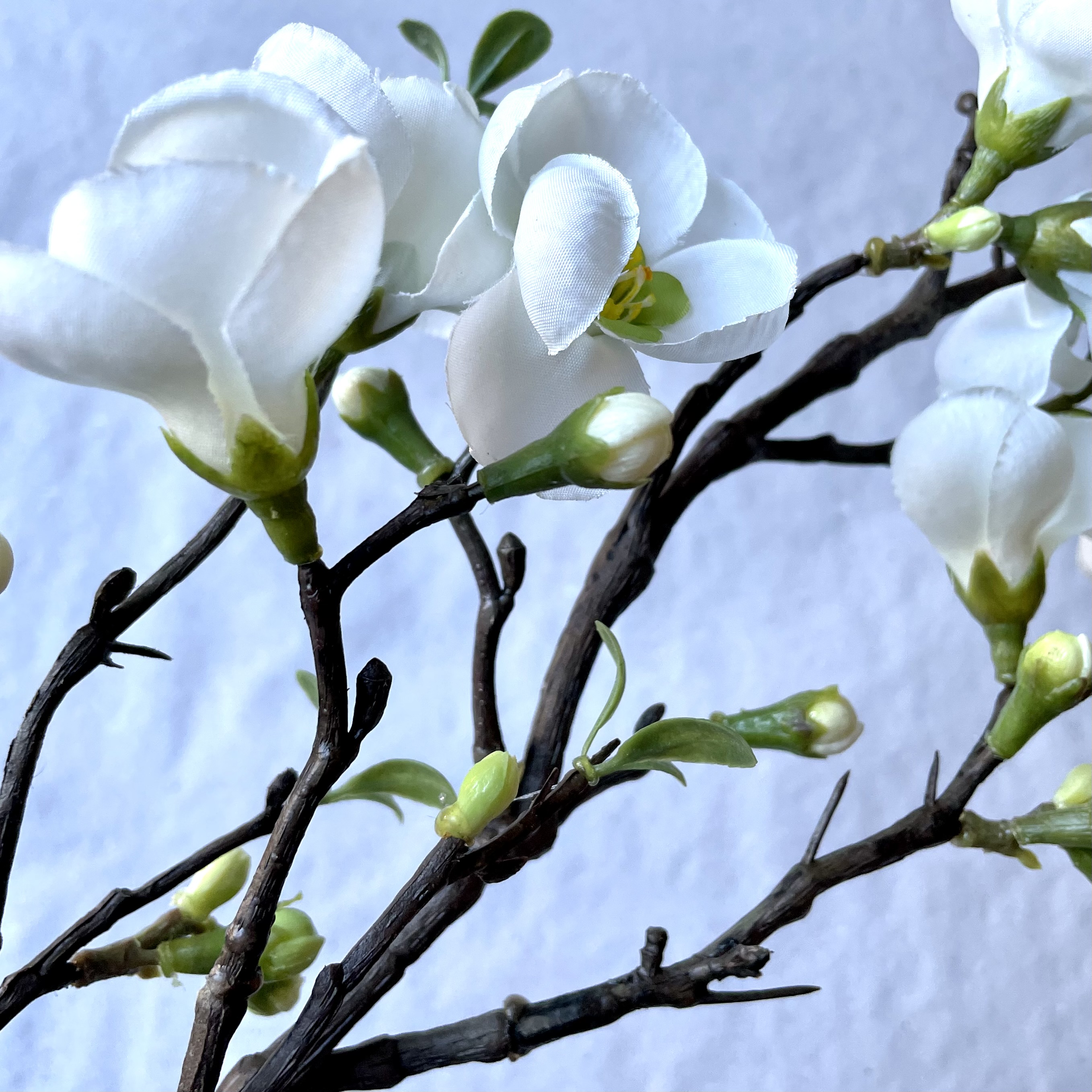 Quitte Blütenzweig L85cm, weiß