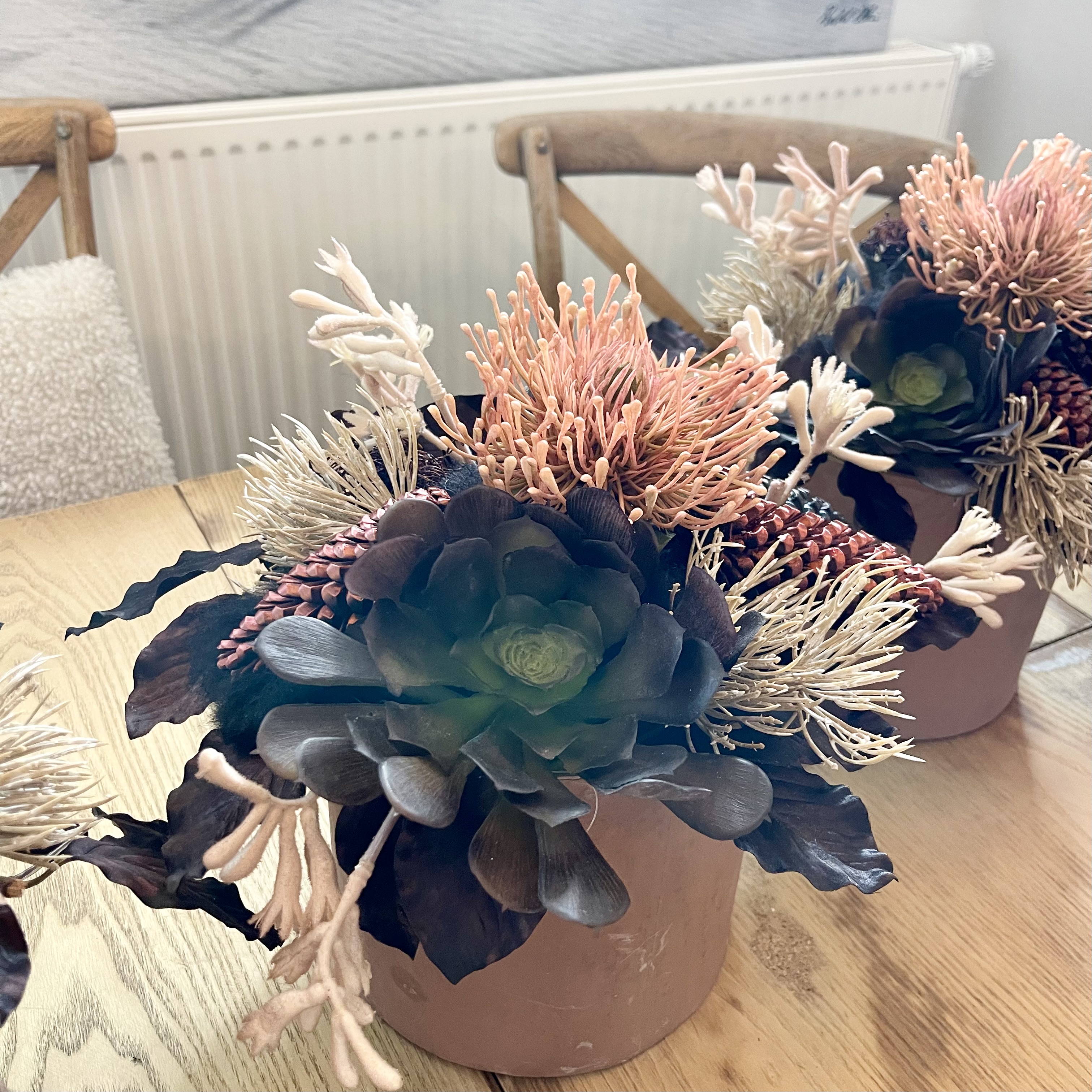 Protea Topf Terra
