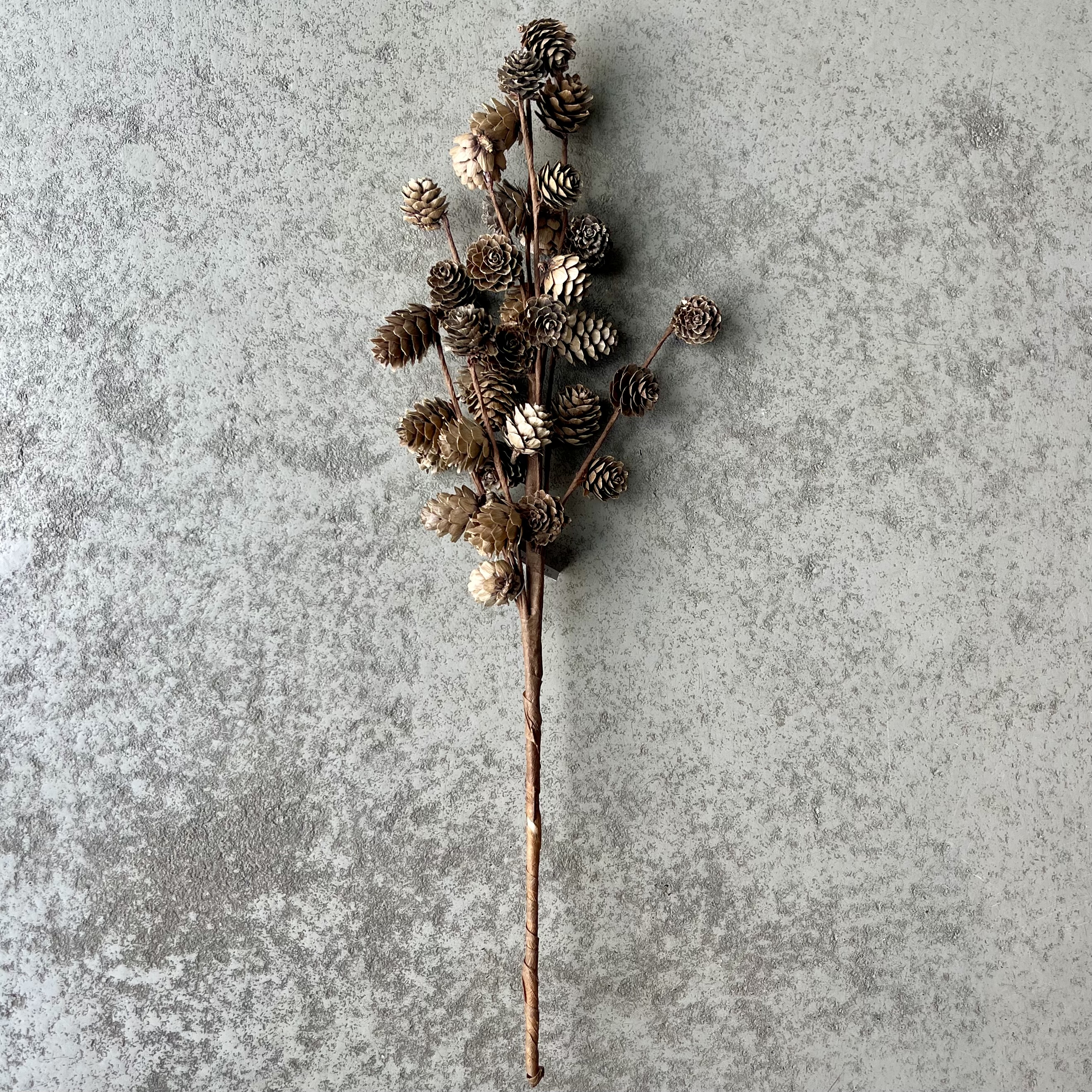 Zapfenzweig'Mick',L55cm,natur
