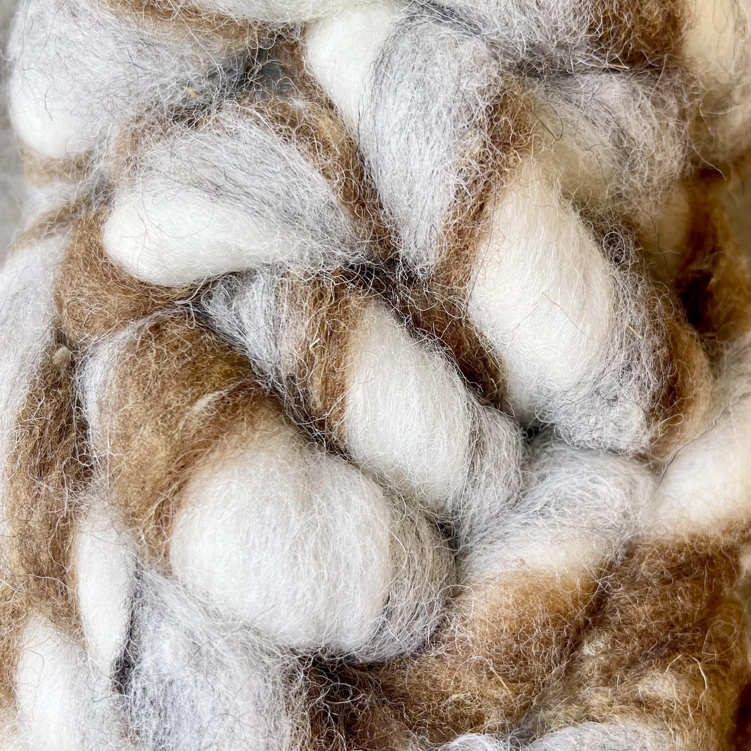 Wolllunte"Twist"3fbg.L15m,br-ws-grau