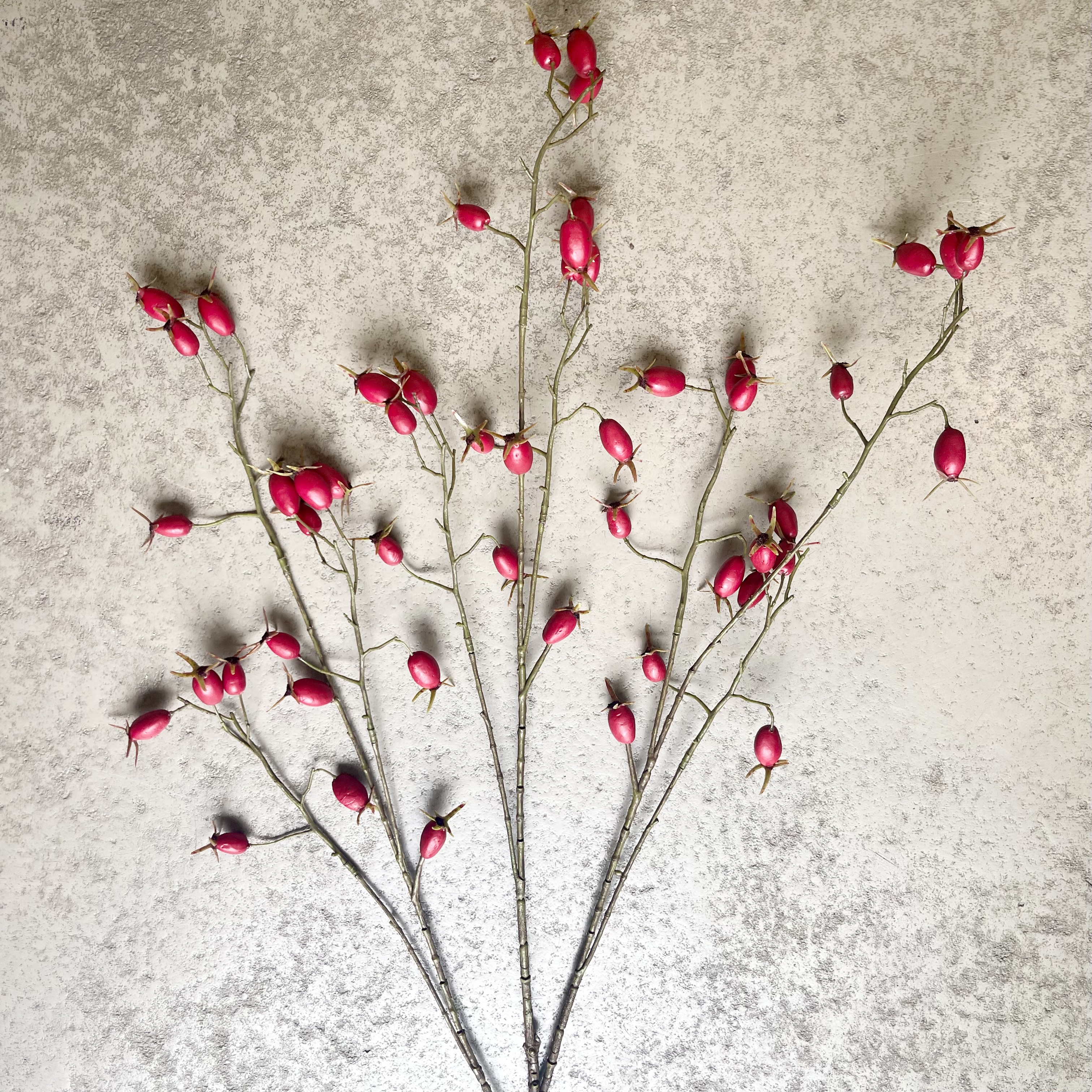 Hagebuttenzweig"Pim",L106cm, rot