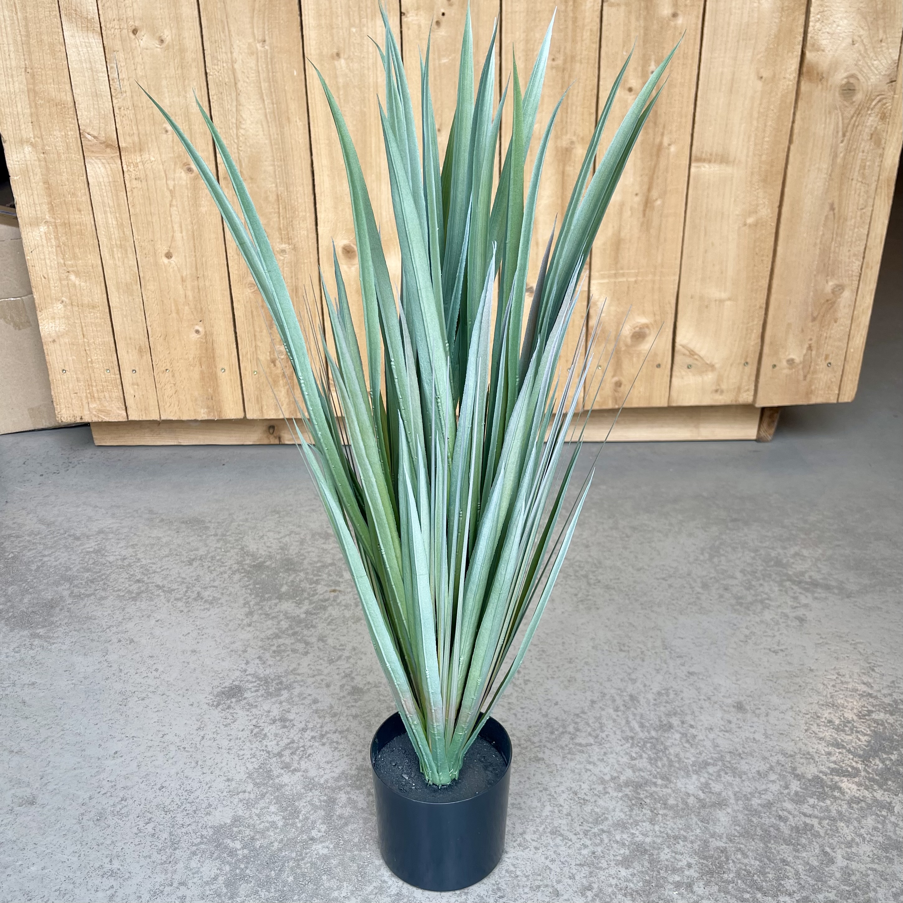 Yucca getopft, H70cm, grün